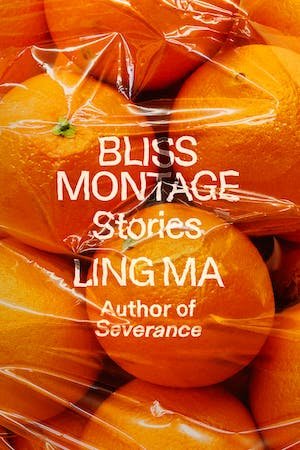 Bliss Montage by Ling Ma FICTION.jpg