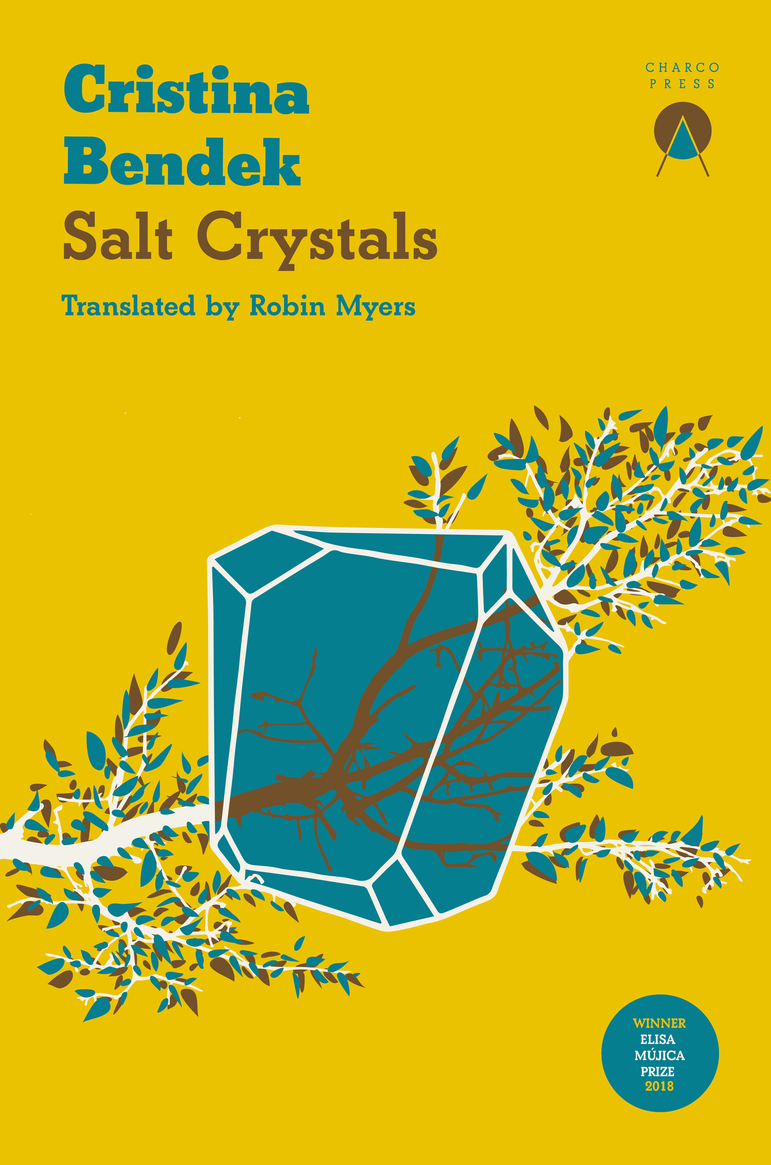 Salt Crystals by Cristina Bendek FICTION.png