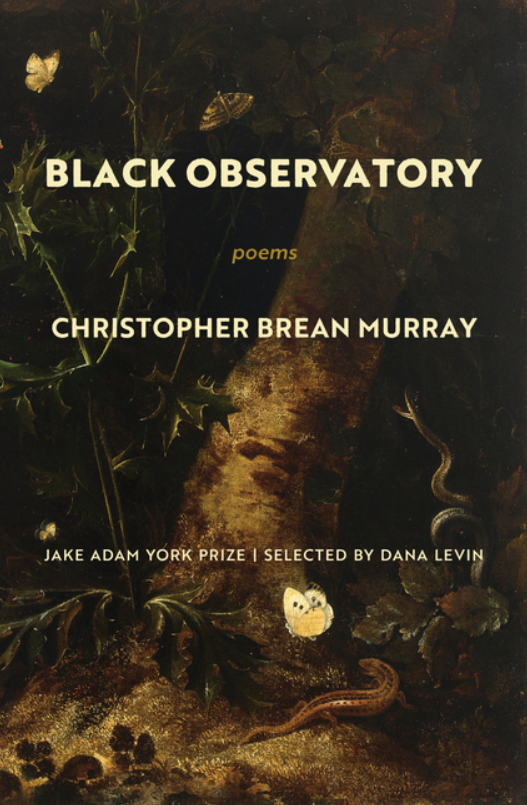 black observatory christopher brean murray POETRY.png