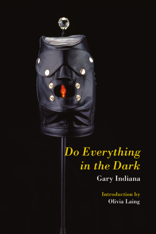 Do Everything in the Dark by Gary Indiana FICTION.png