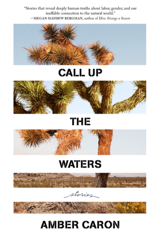 Call Up the Waters by Amber Caron FICTION.png