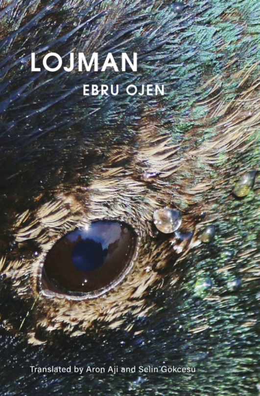 lojman ebru ojen.png