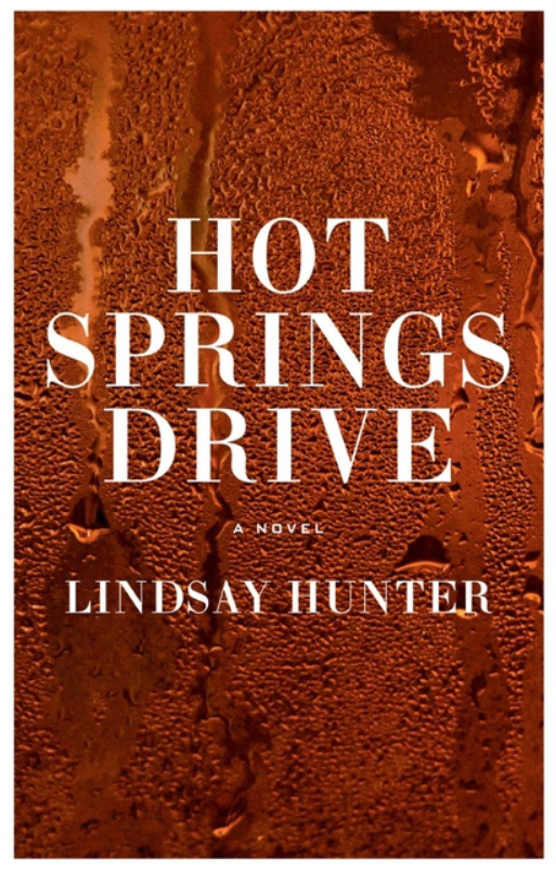 hot springs drive lindsay hunter.png