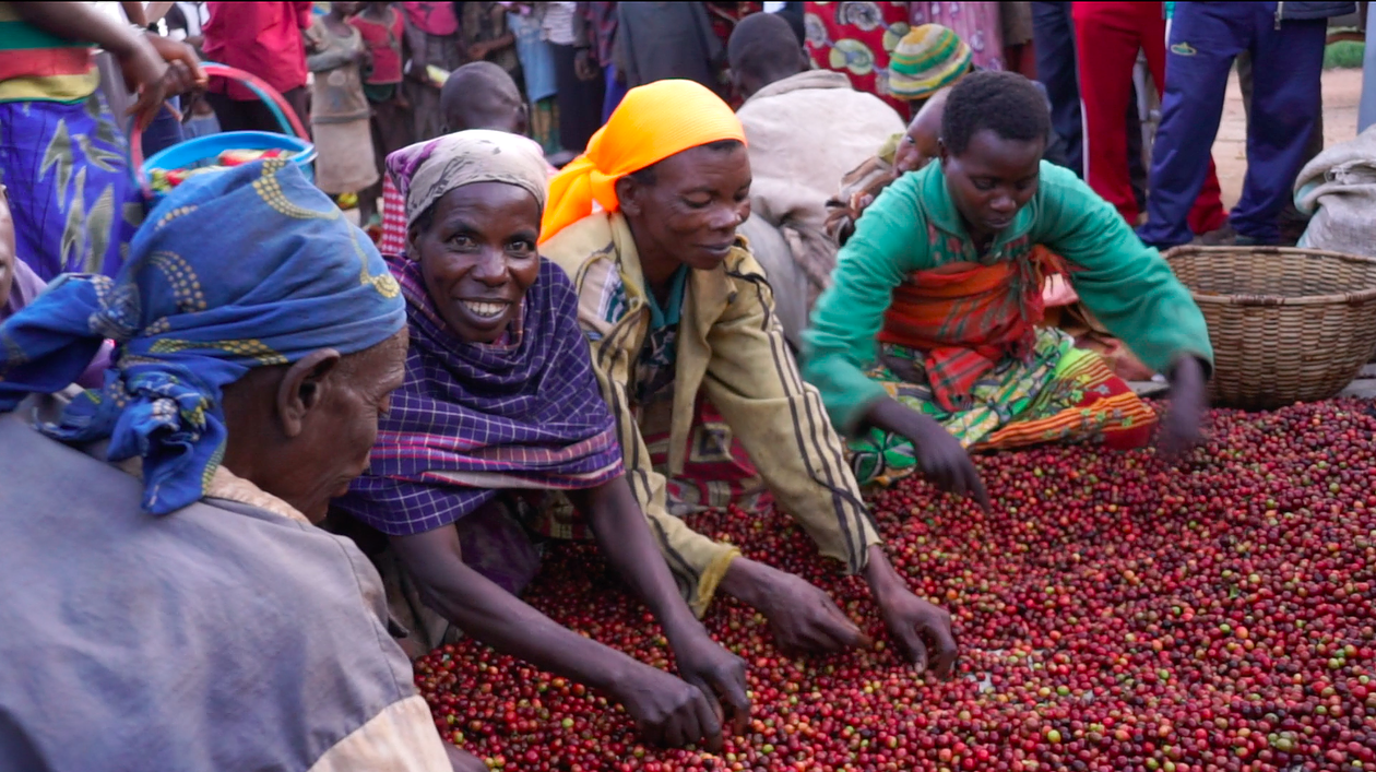 Photo credit: JNP Coffee