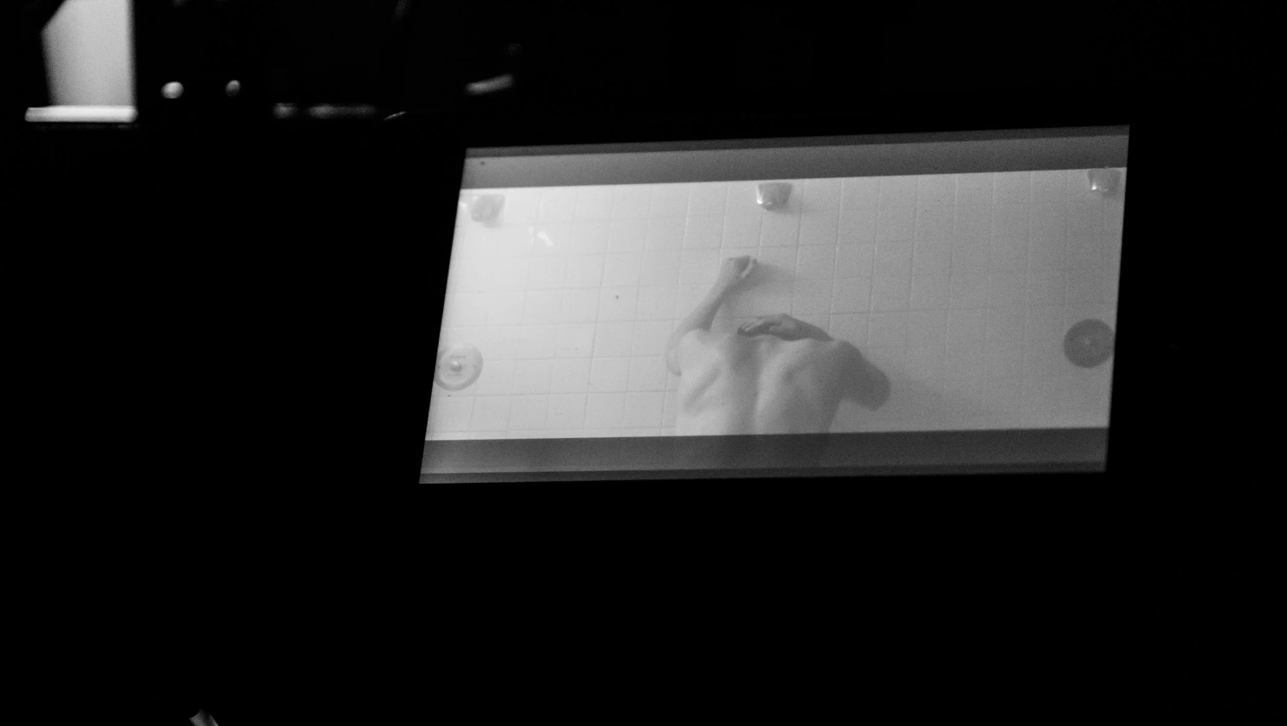 DSC_1589.jpg
