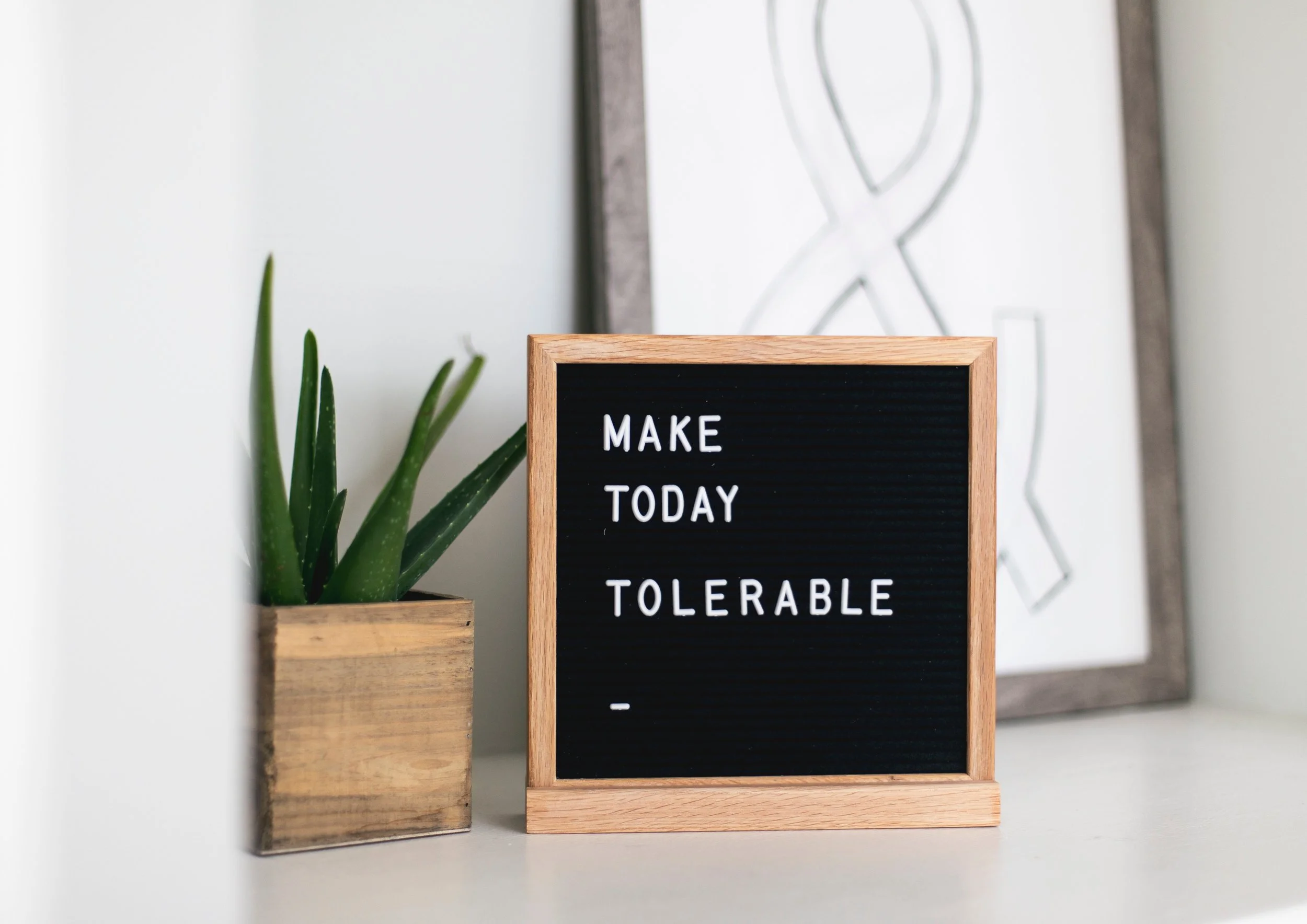 Photo by Kari Shea on Unsplash