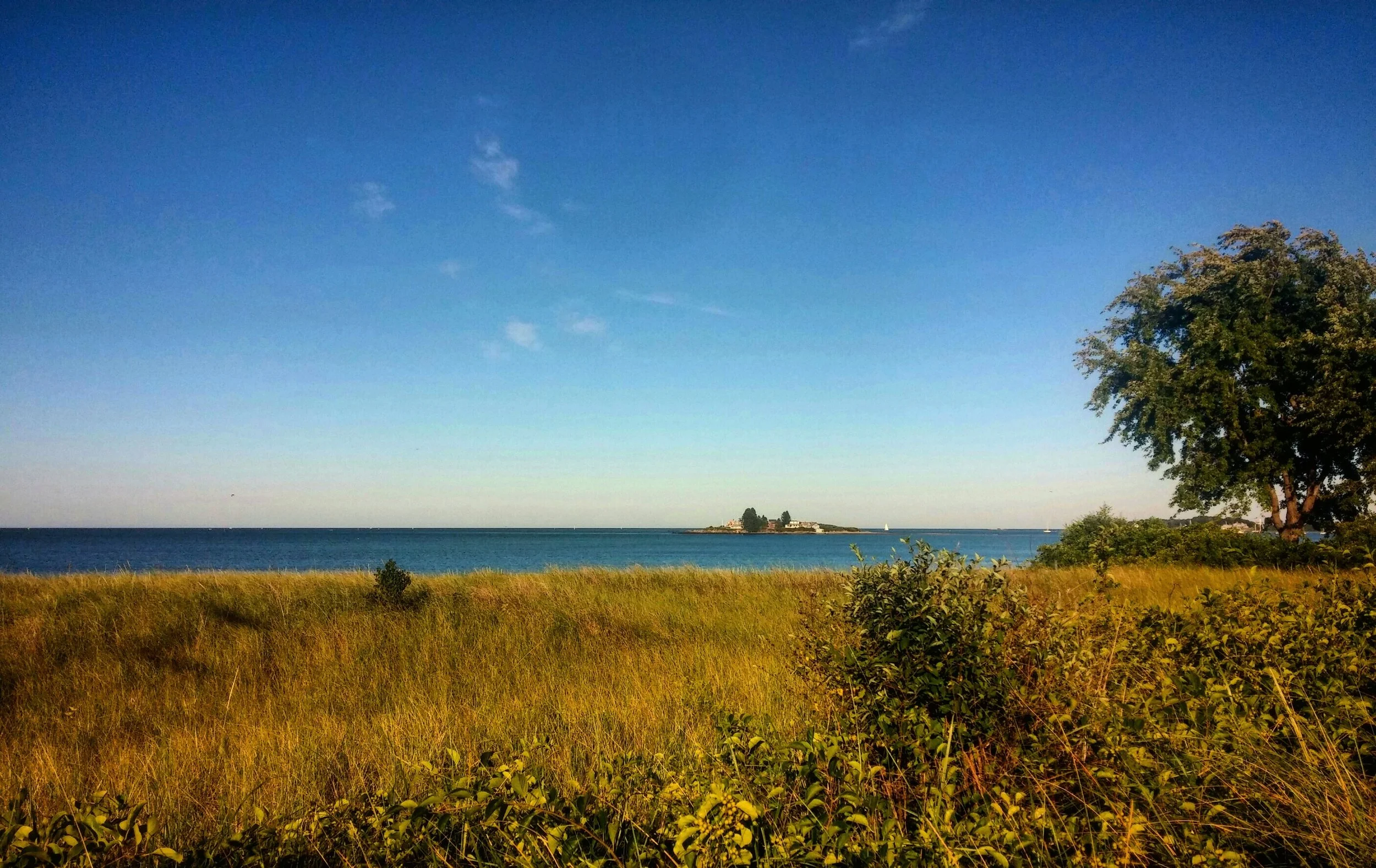 IMG_20160823_175419.jpg