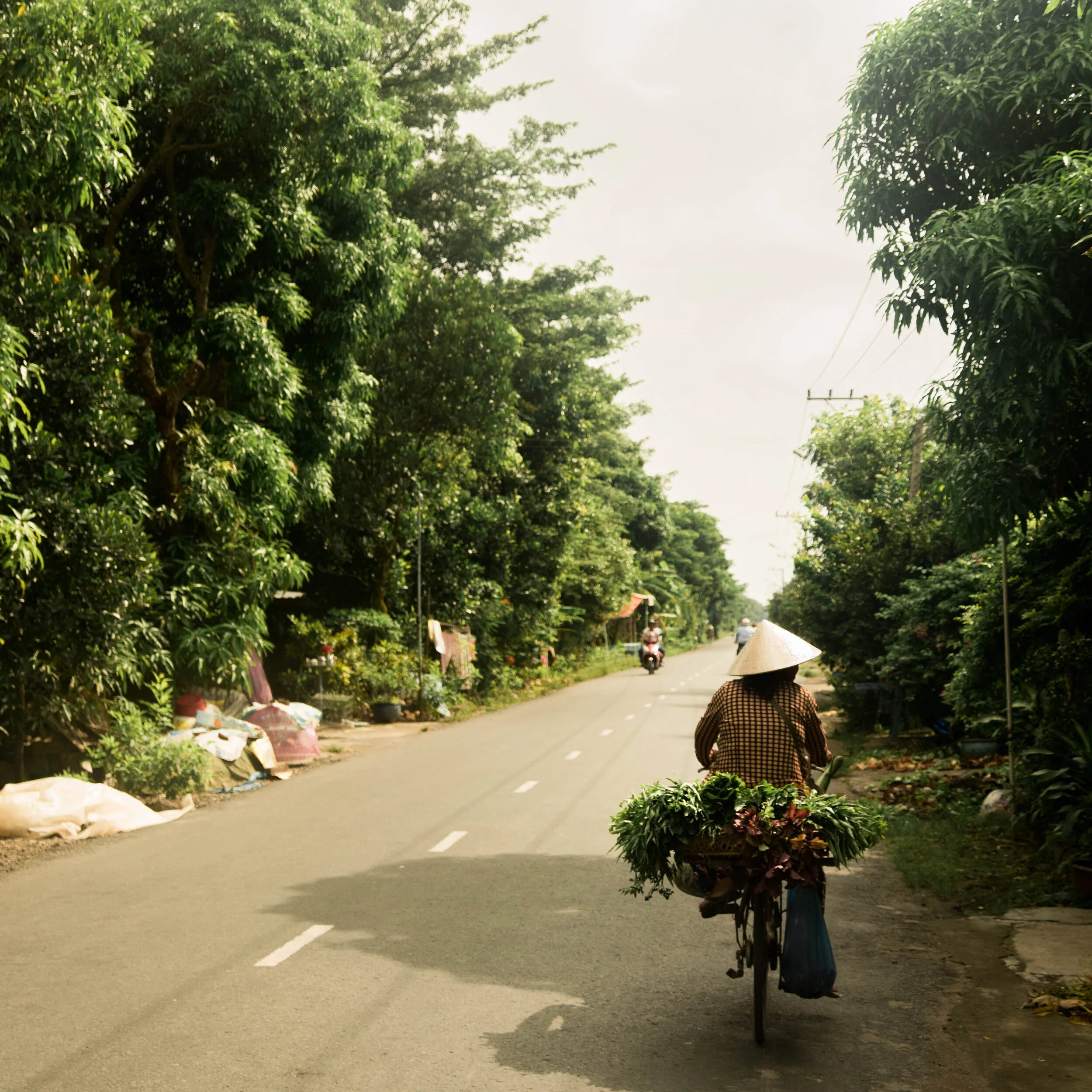 traveling market 8x8 print 