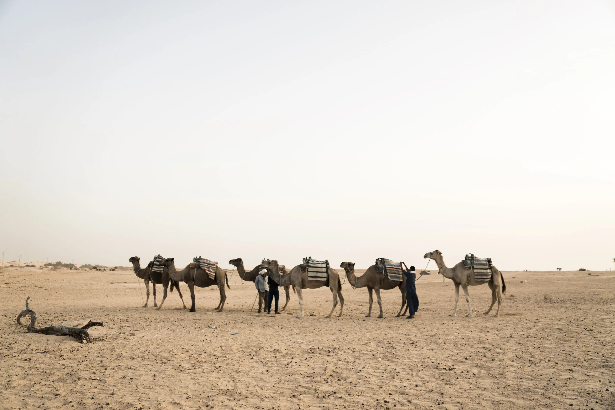 send me on my way 8x8 print