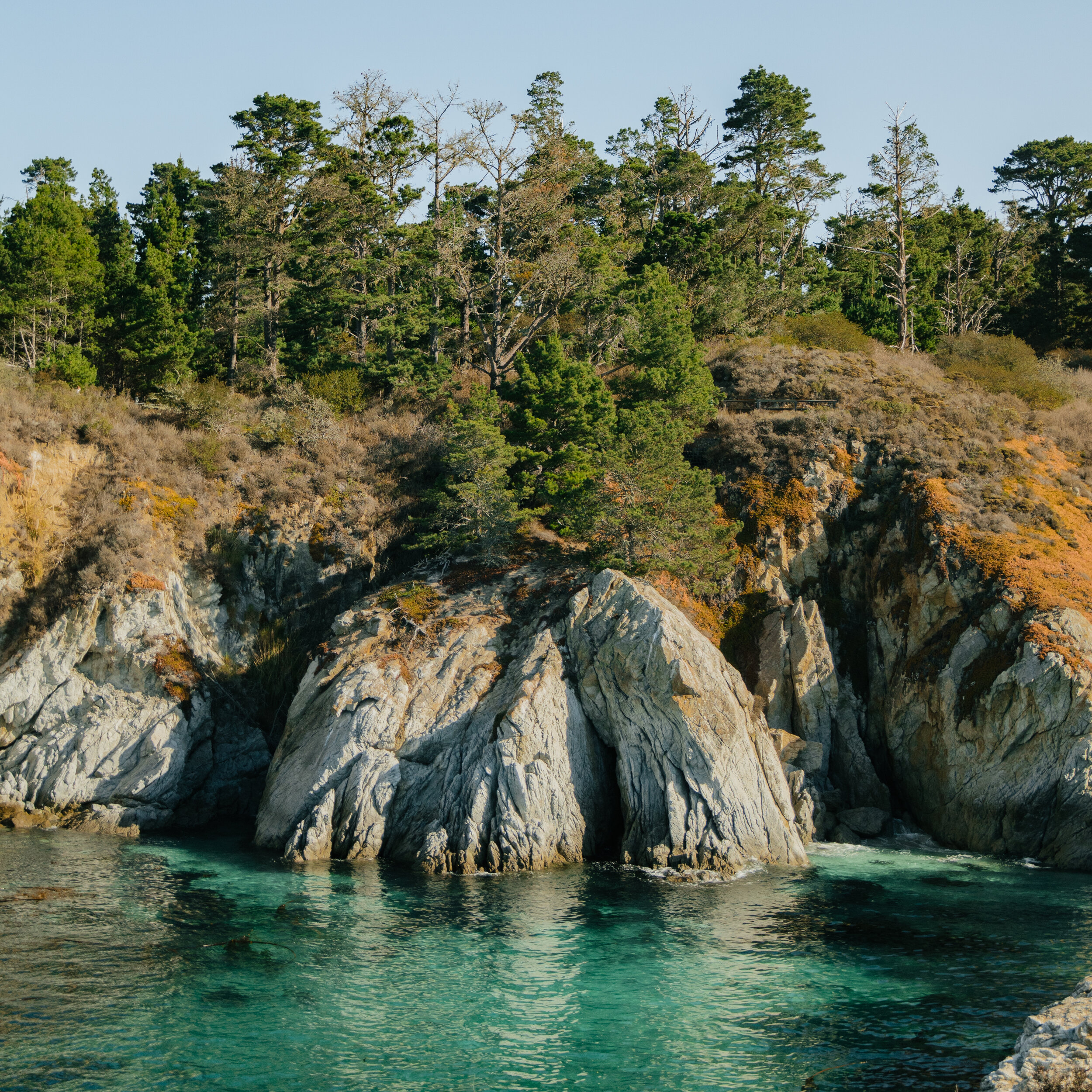 Point Lobos Print