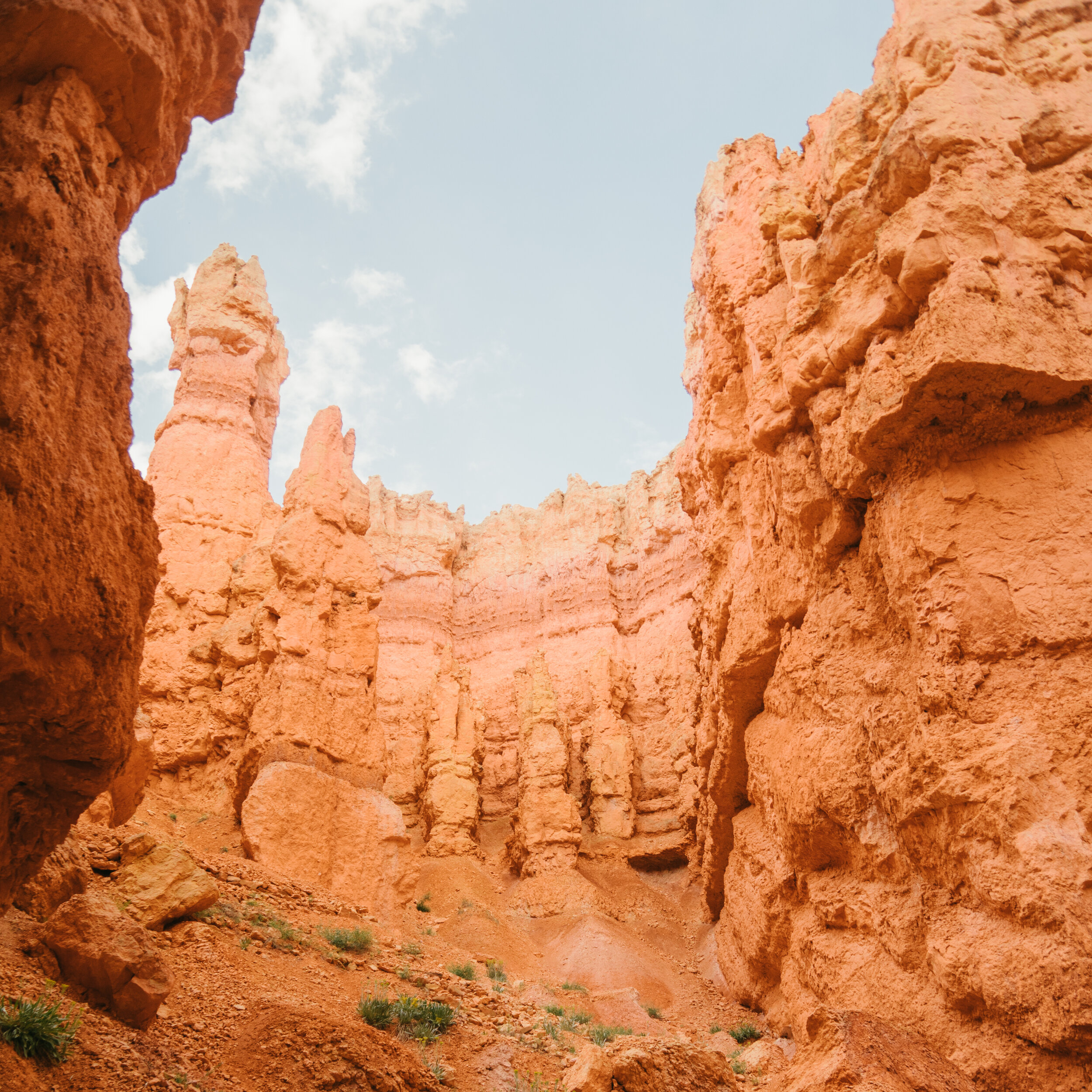 Bryce Canyon Print 