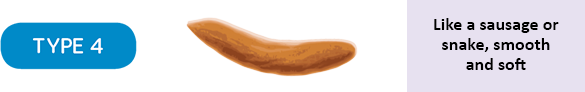 FD17260_Stool_Type4.png
