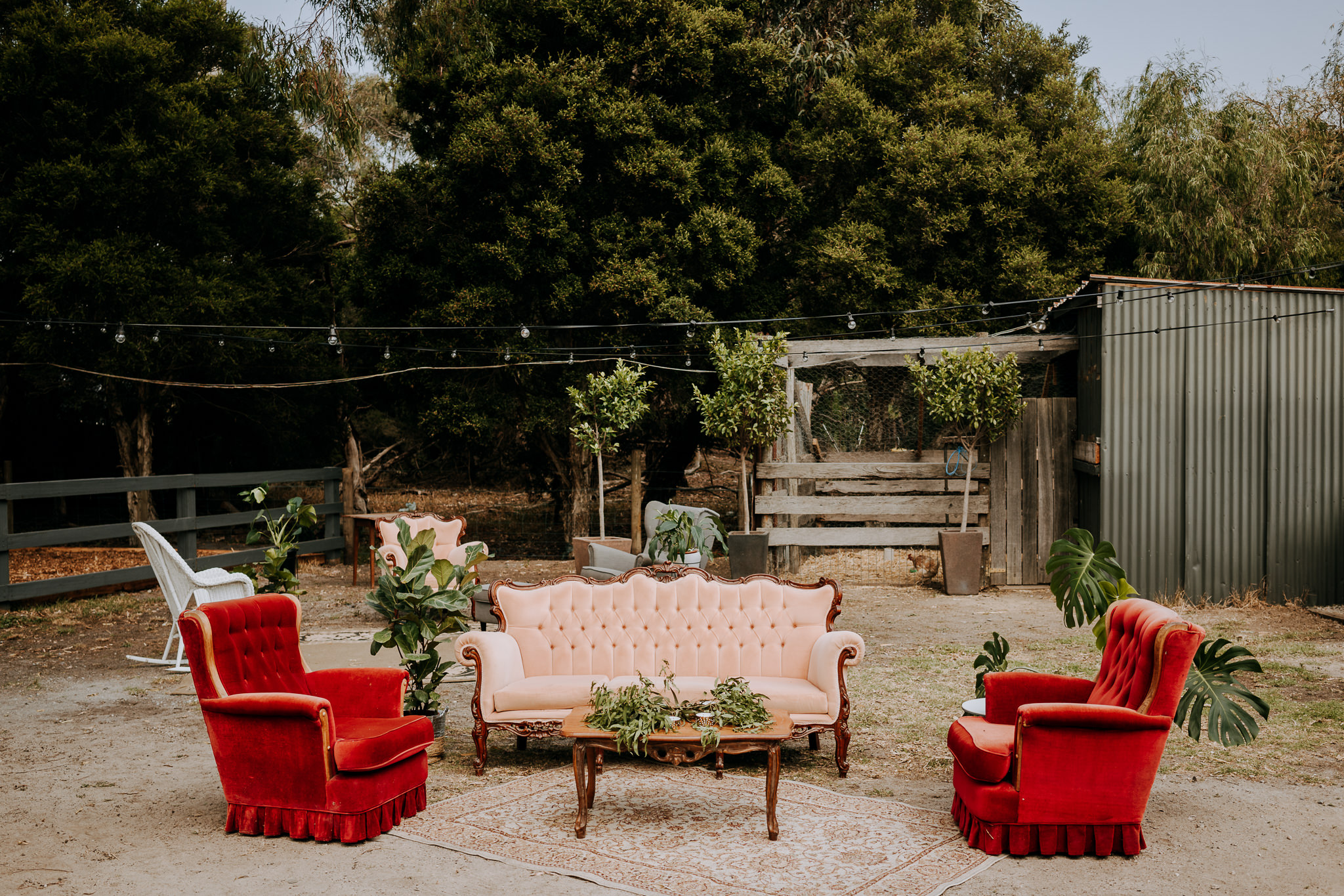   Throw your own backyard wedding, wedding photography, wedding photography melbourne, candid wedding photography, backyard wedding, throw your own wedding, getting married at home, melbourne wedding photography, melbourne wedding photographer, Morni