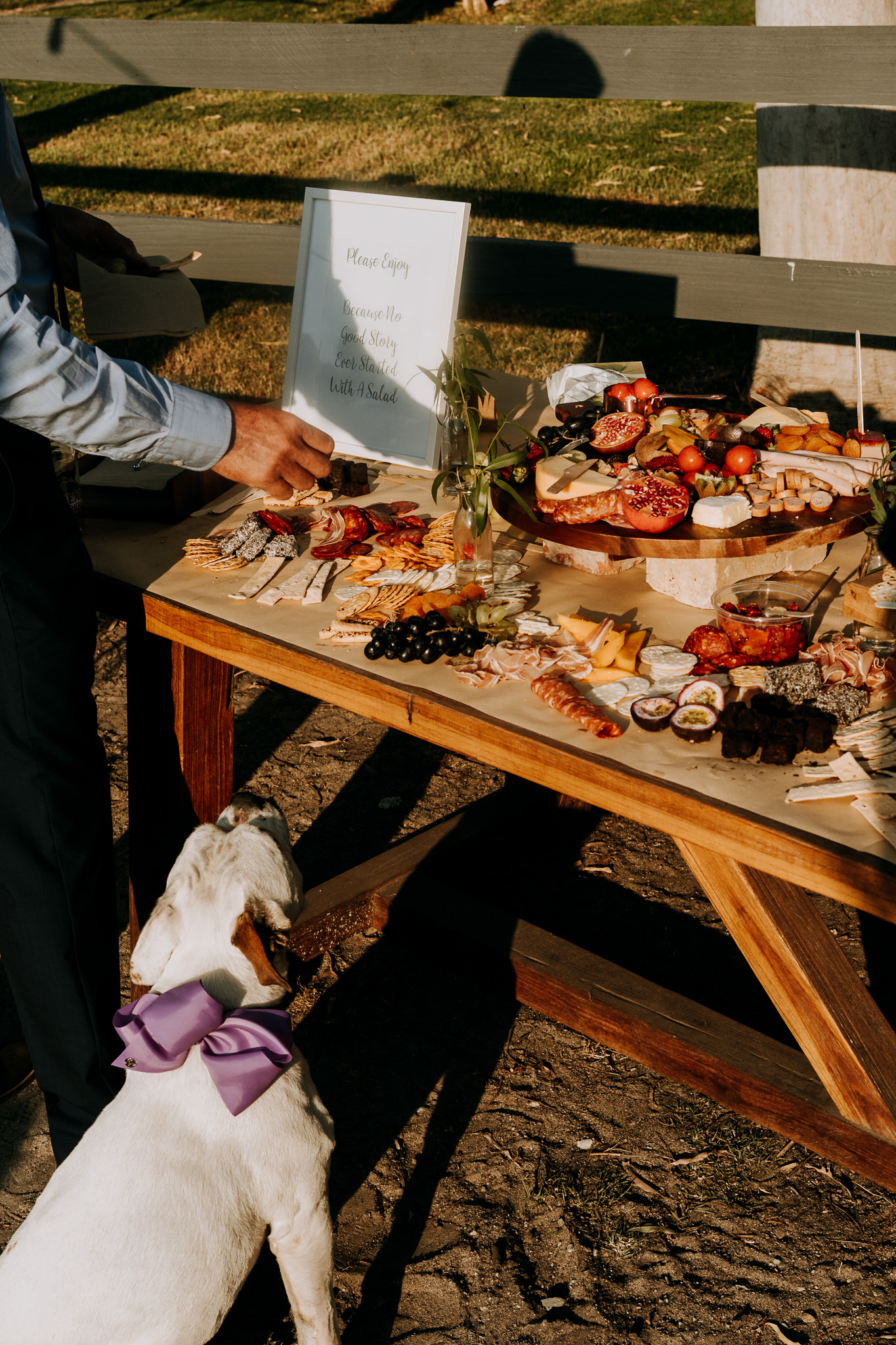   Throw your own backyard wedding, wedding photography, wedding photography melbourne, candid wedding photography, backyard wedding, throw your own wedding, getting married at home, melbourne wedding photography, melbourne wedding photographer, Morni