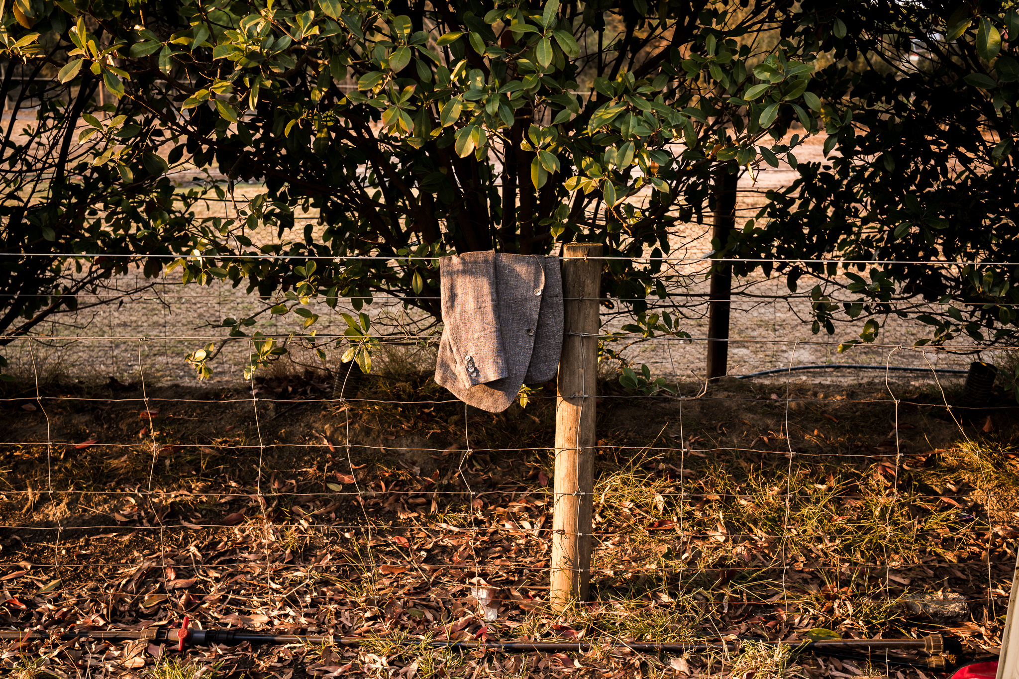   Throw your own backyard wedding, wedding photography, wedding photography melbourne, candid wedding photography, backyard wedding, throw your own wedding, getting married at home, melbourne wedding photography, melbourne wedding photographer, Morni