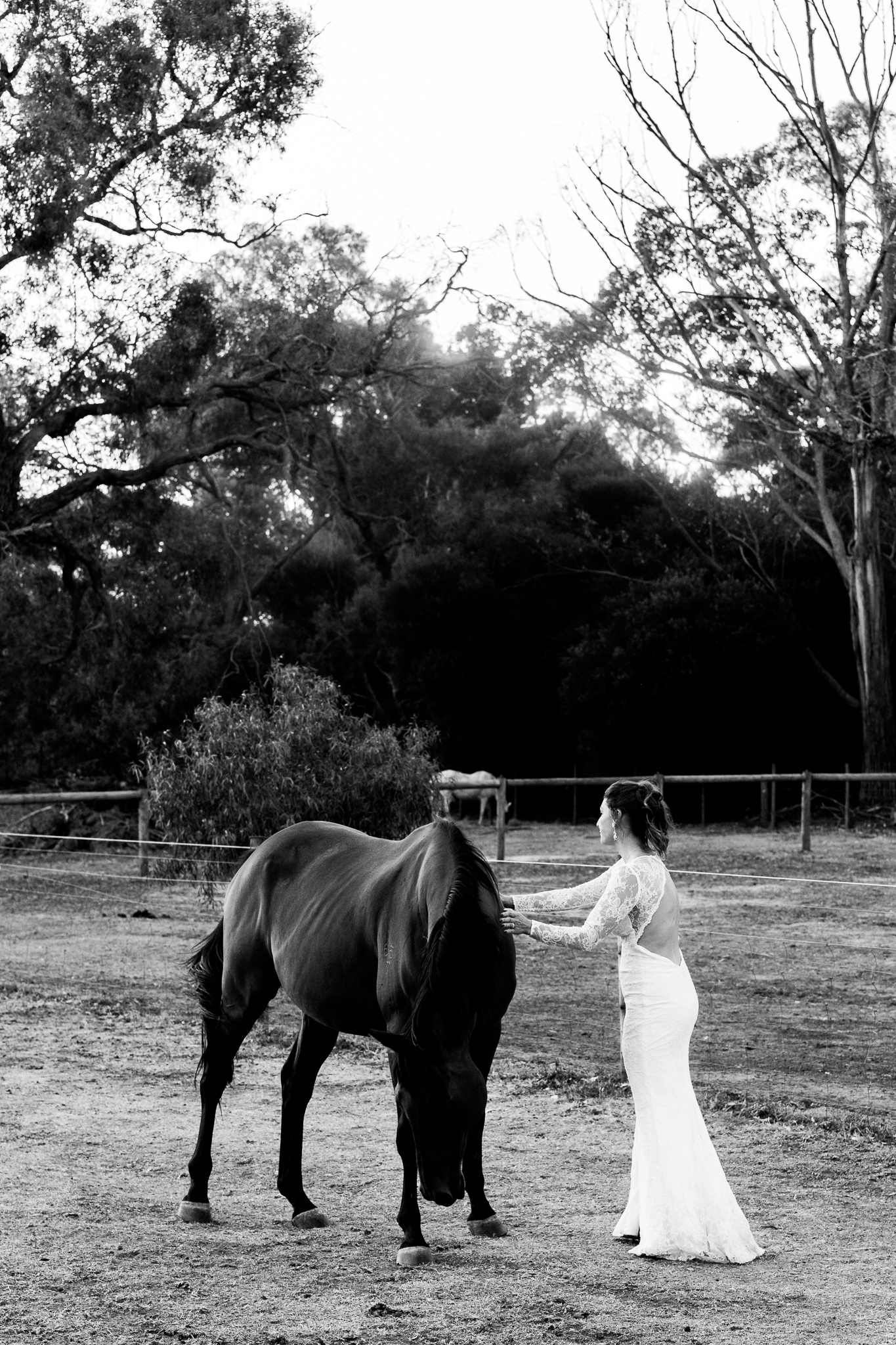   Throw your own backyard wedding, wedding photography, wedding photography melbourne, candid wedding photography, backyard wedding, throw your own wedding, getting married at home, melbourne wedding photography, melbourne wedding photographer, Morni