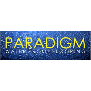 paradigm.png