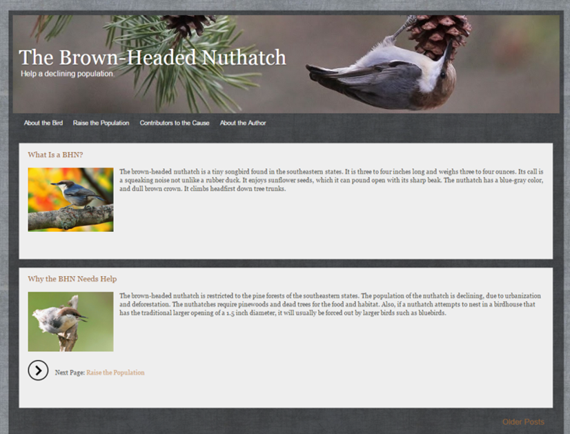 nuthatch.info.png