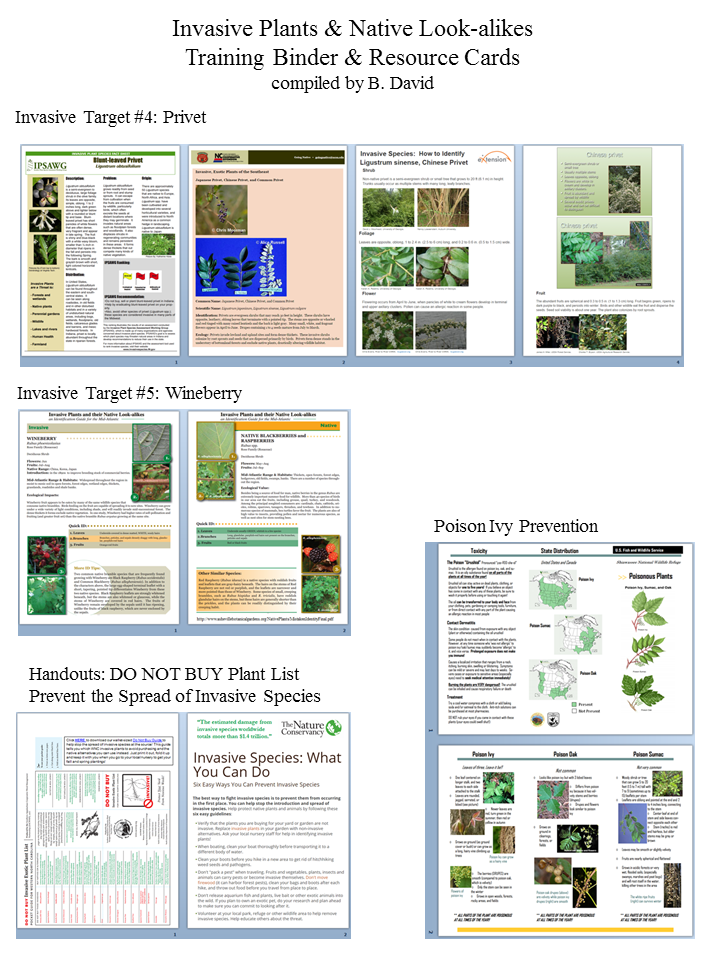 Invasive Reference Materials2.png