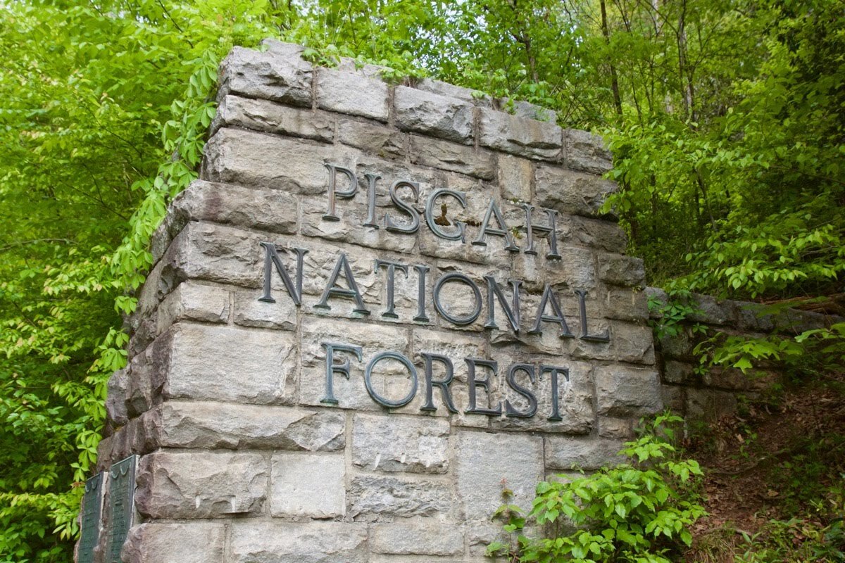 pisgah_national_forest.jpg