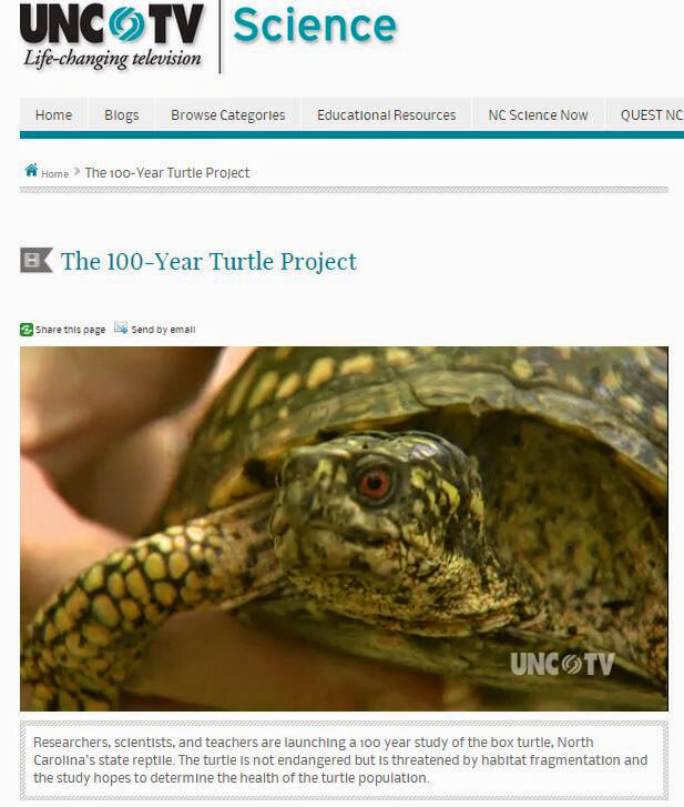 100 Year Turtle Project.jpg
