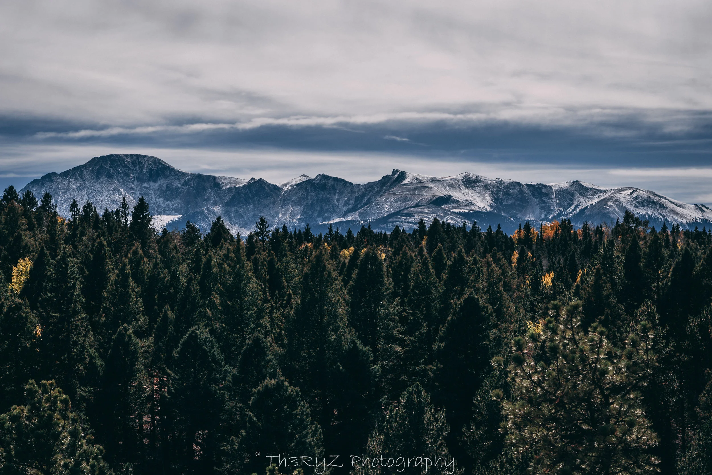 DSC02505-Edit.jpg