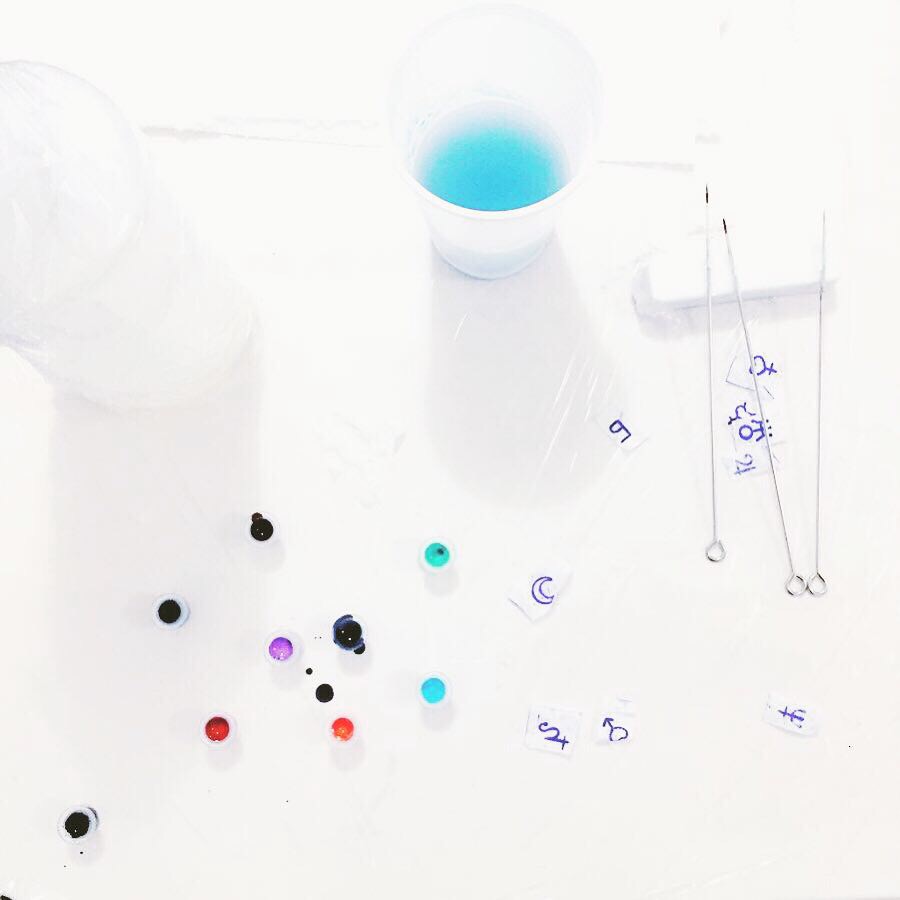 PARIS 27 Février - 2 Mars 2019