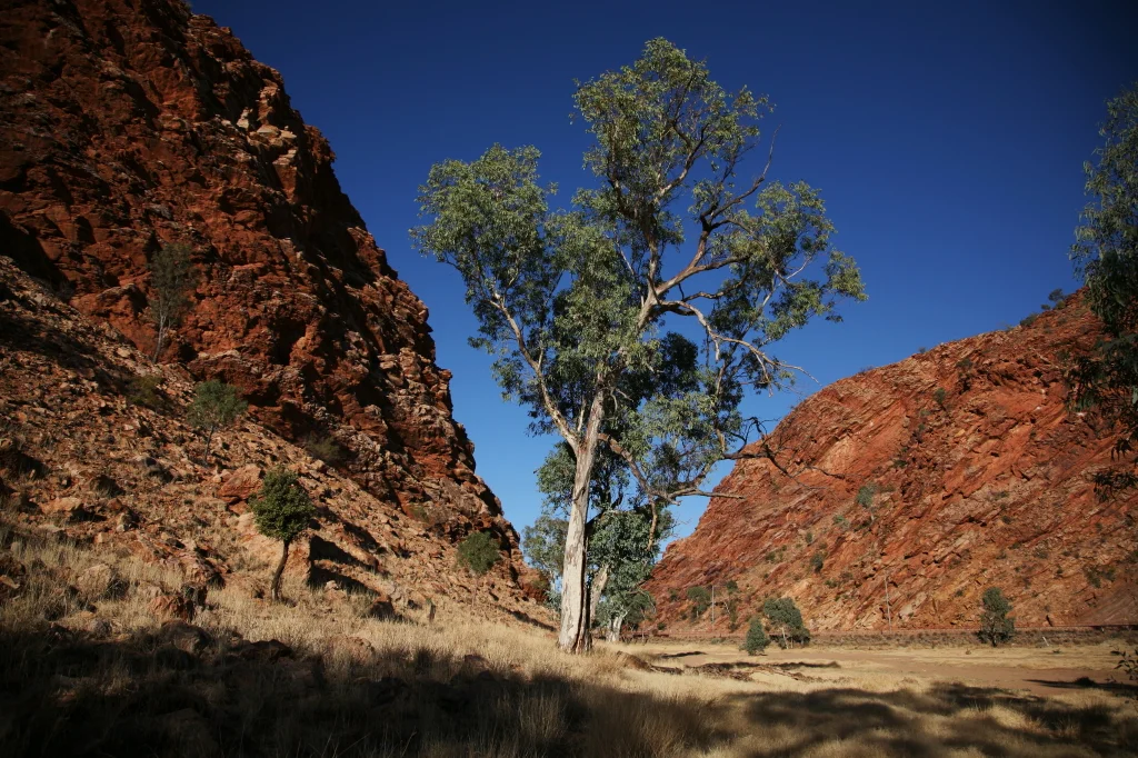 THE GAP @ ALICE SPRINGS IMG_8159_1.JPG