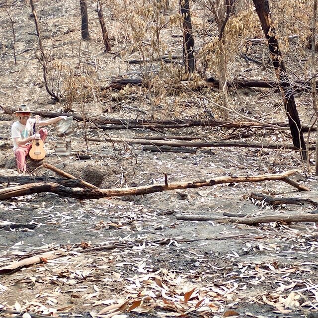 Wombat Kingdom Post Fire Visit