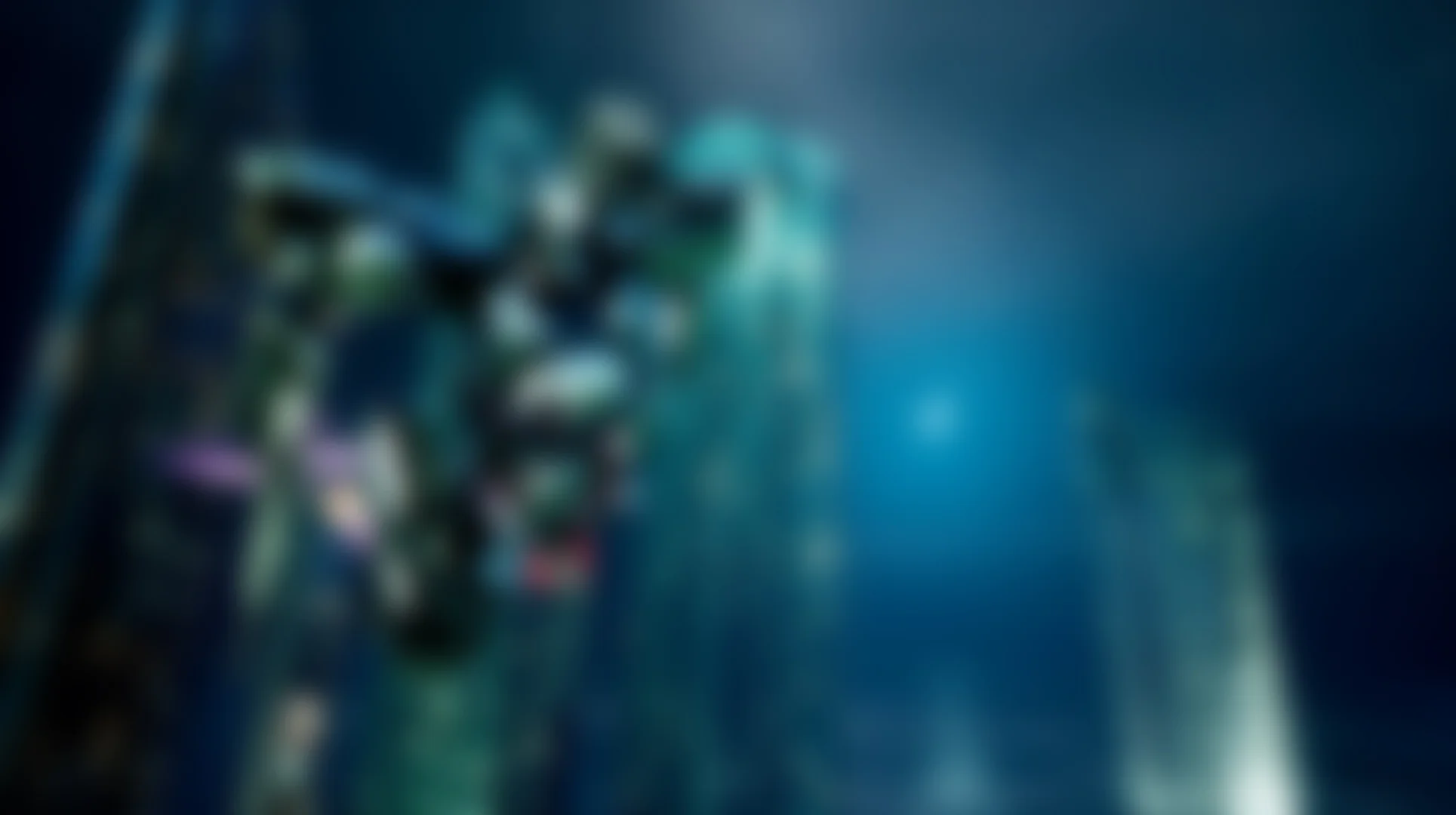 pnrm-blur2.jpg