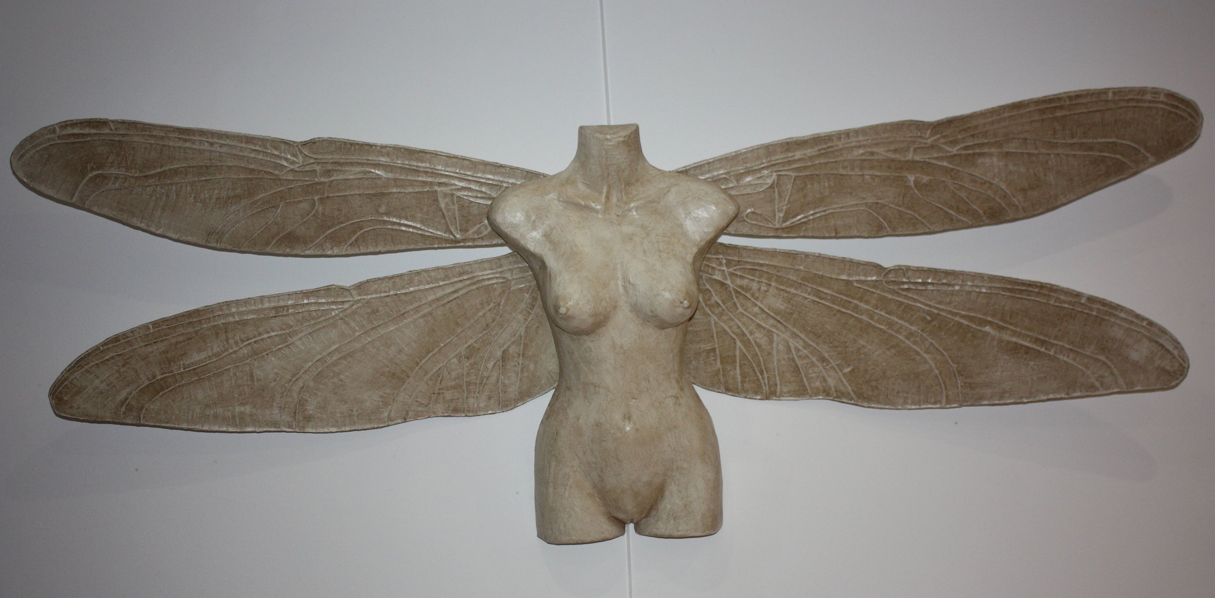 Dragonfly Torso