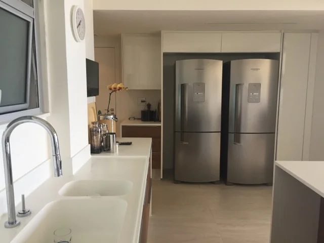 CORIAN COUNTERTOPS, EXOTIC BRAZILIAN WOOD CABINETRY