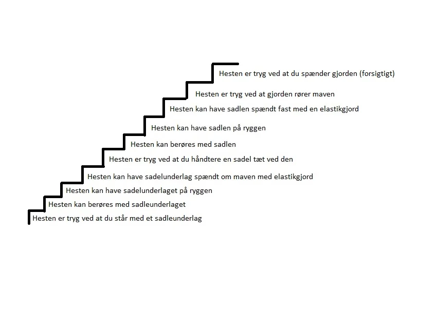 shapingtrappe.jpg