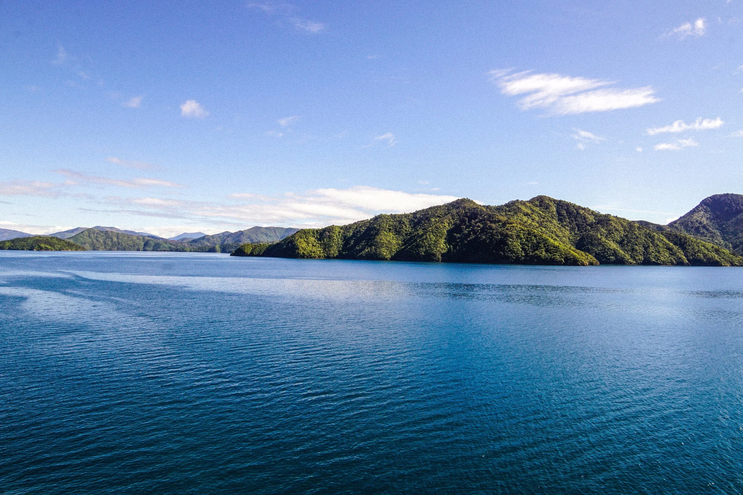 Ferry Views