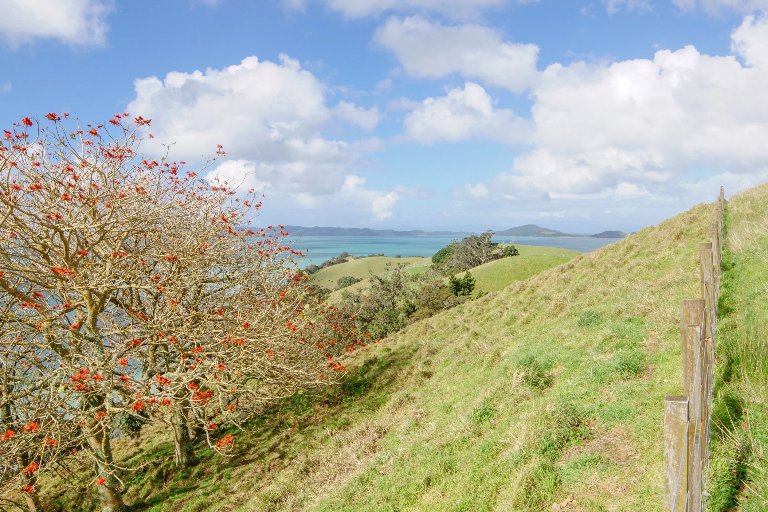 Spring time at Duder Regional Park