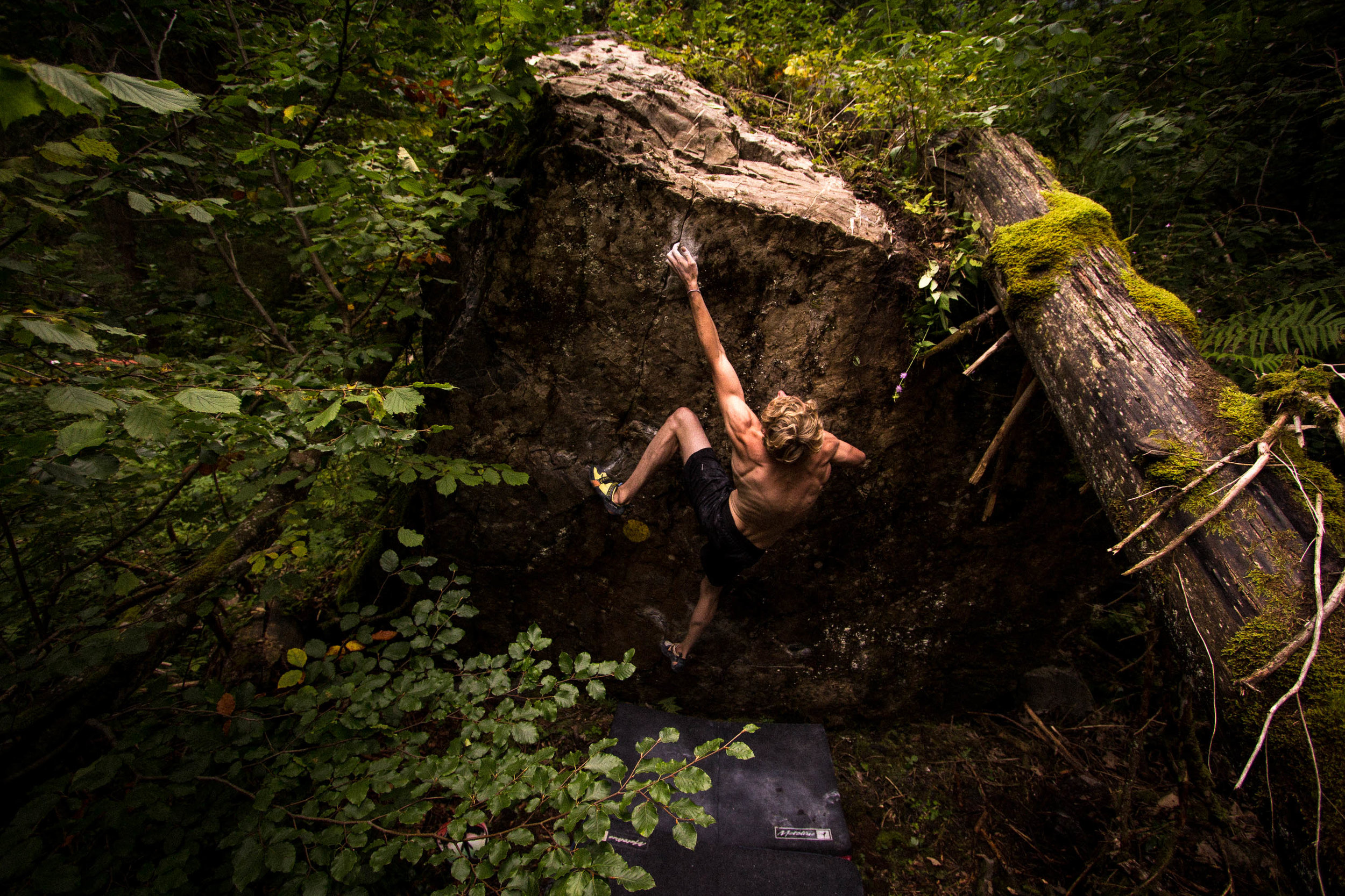 adam watson - prodain 2014