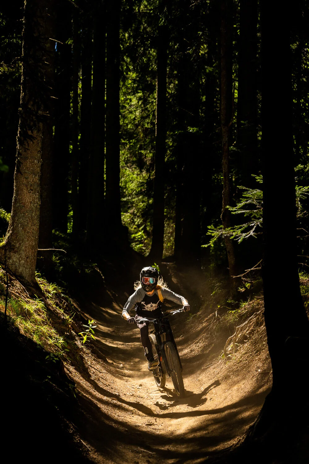 rose bromley - pleney 2020