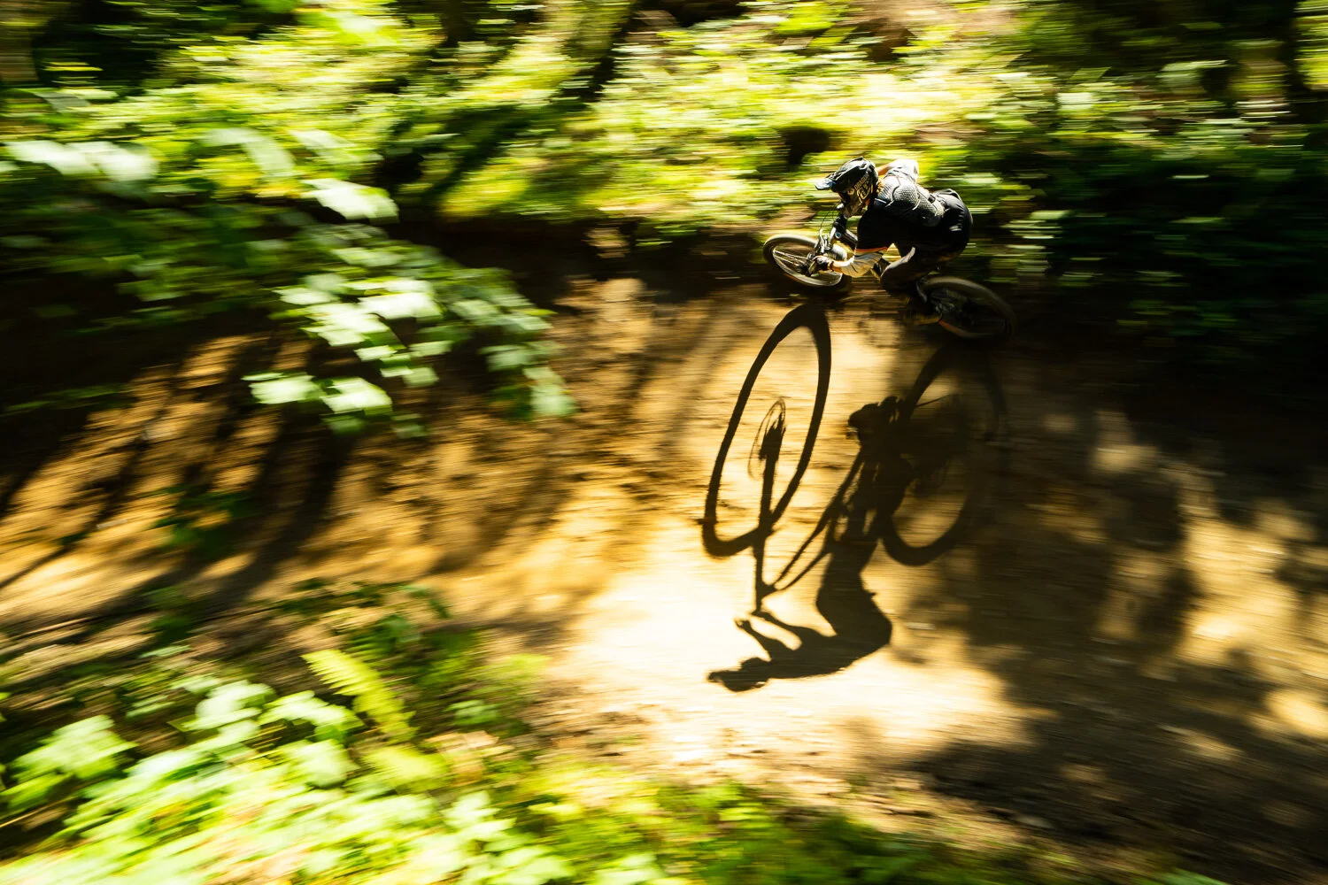 sam nelson - pleney 2020