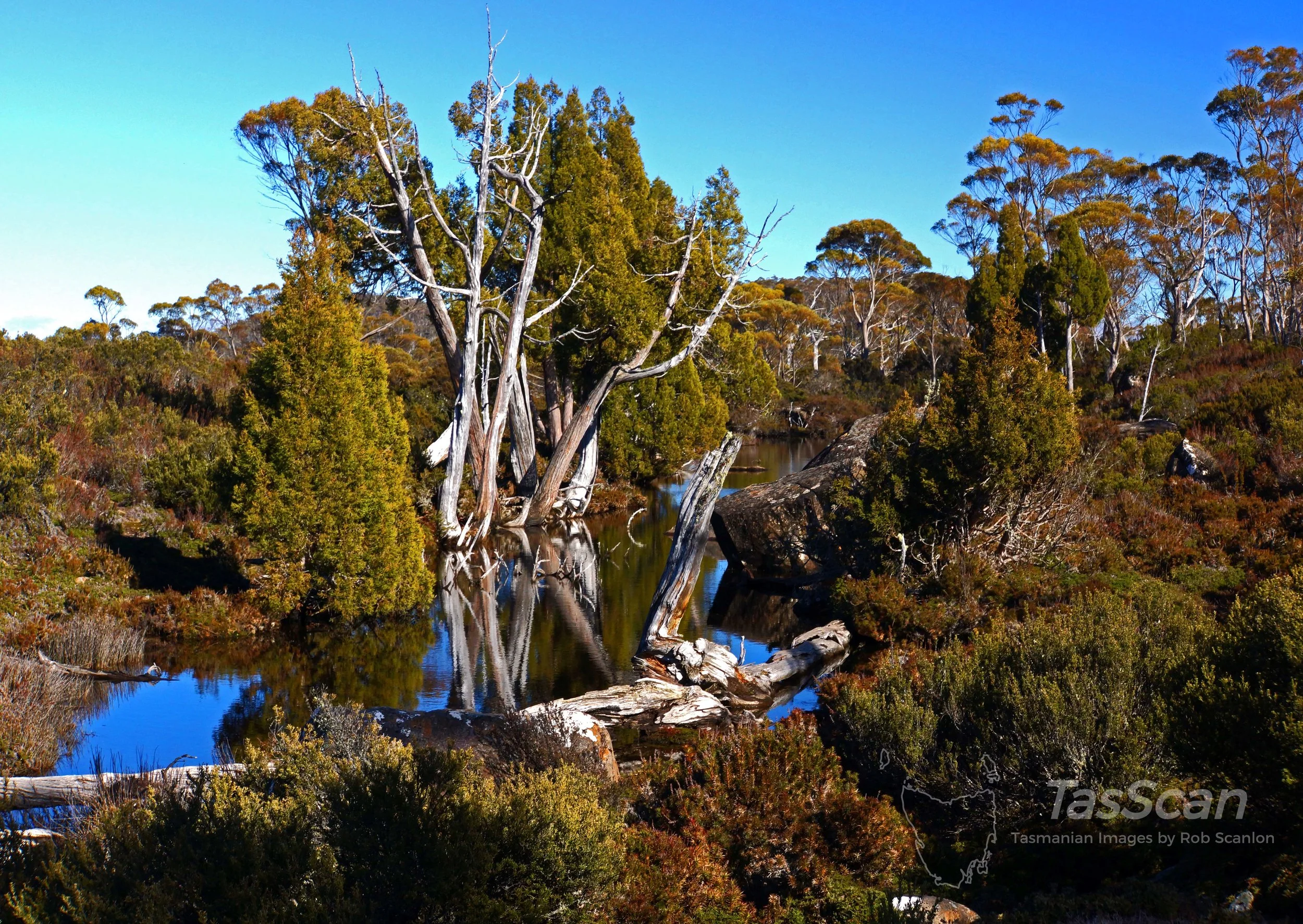 97 Solomons Jewell Western Tarn