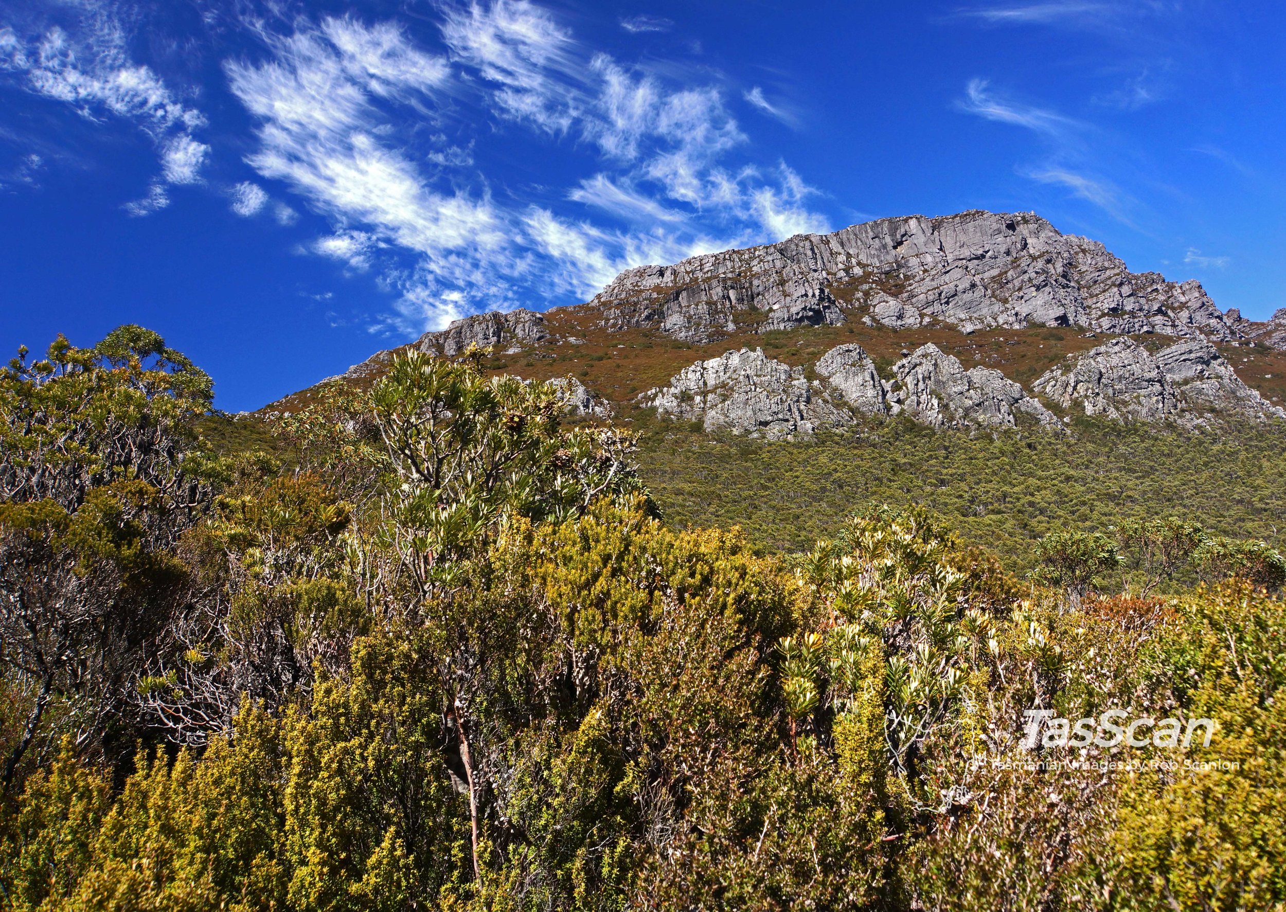 99 Black Bluff from Brookes Track