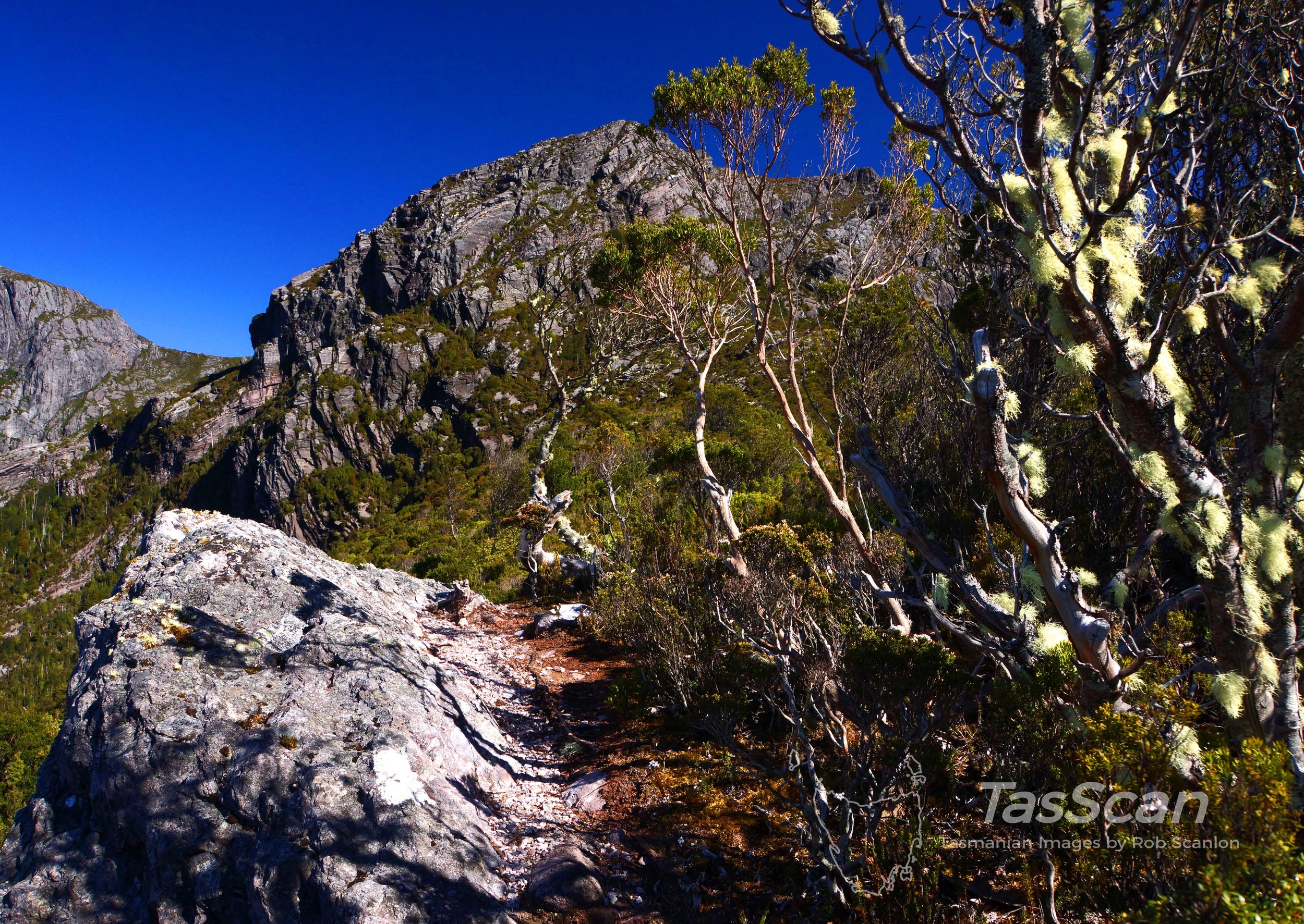 103 - SE Ridge Murchison