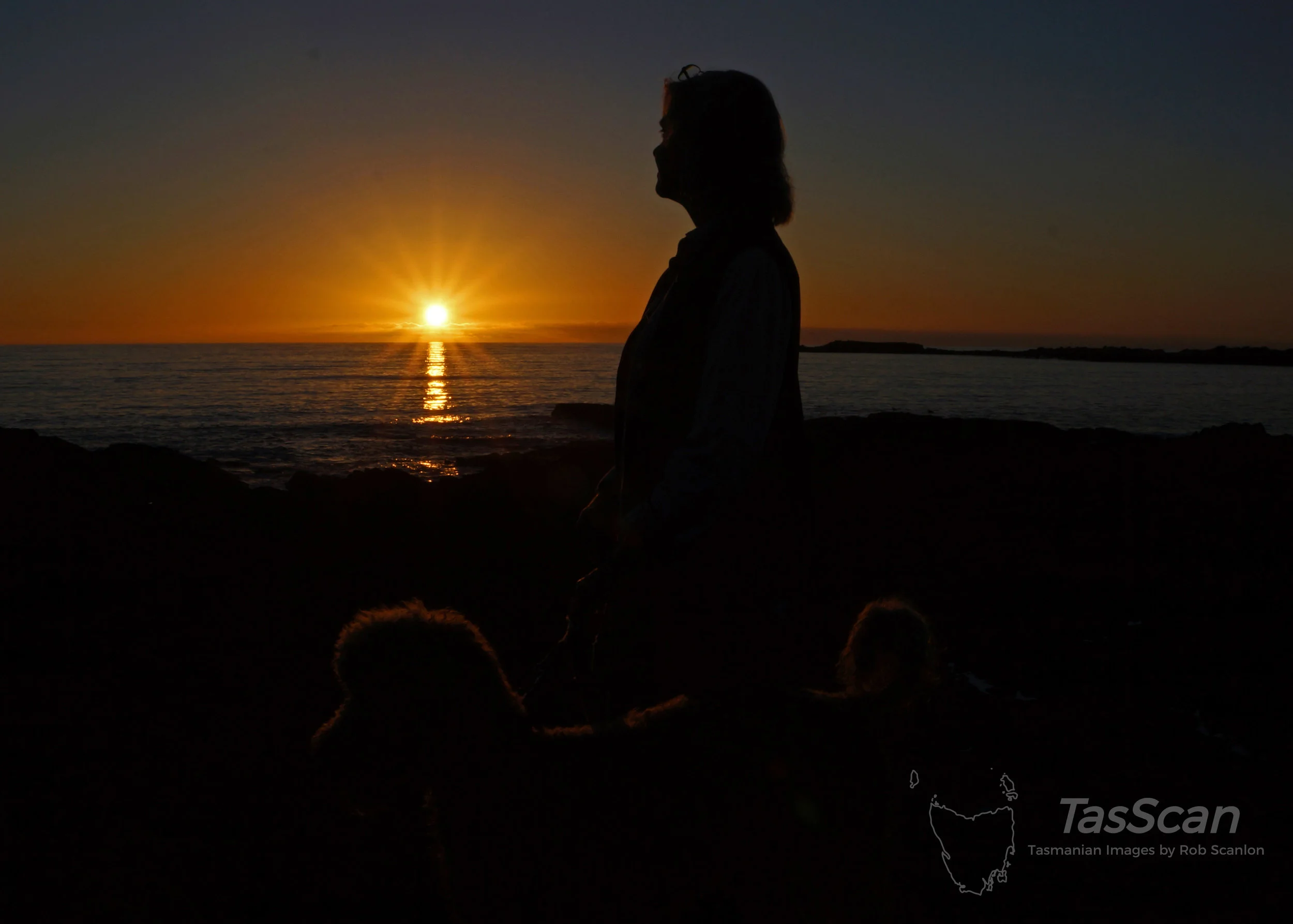 123 - Petal Point Sunset