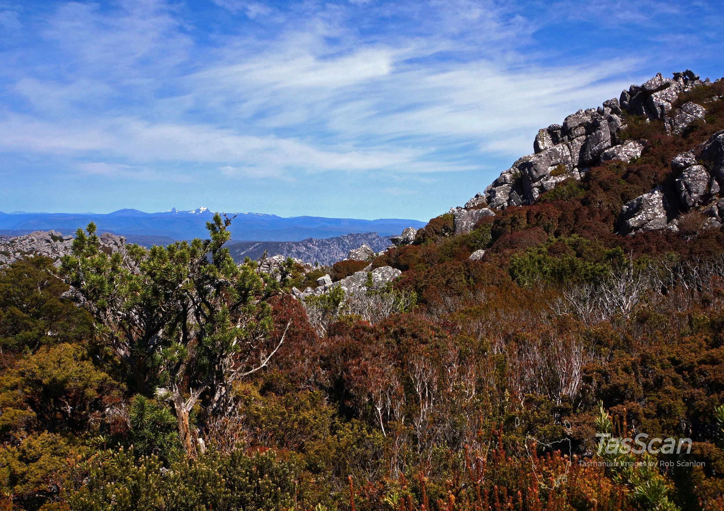 128 Mt Roland O’Neill Track