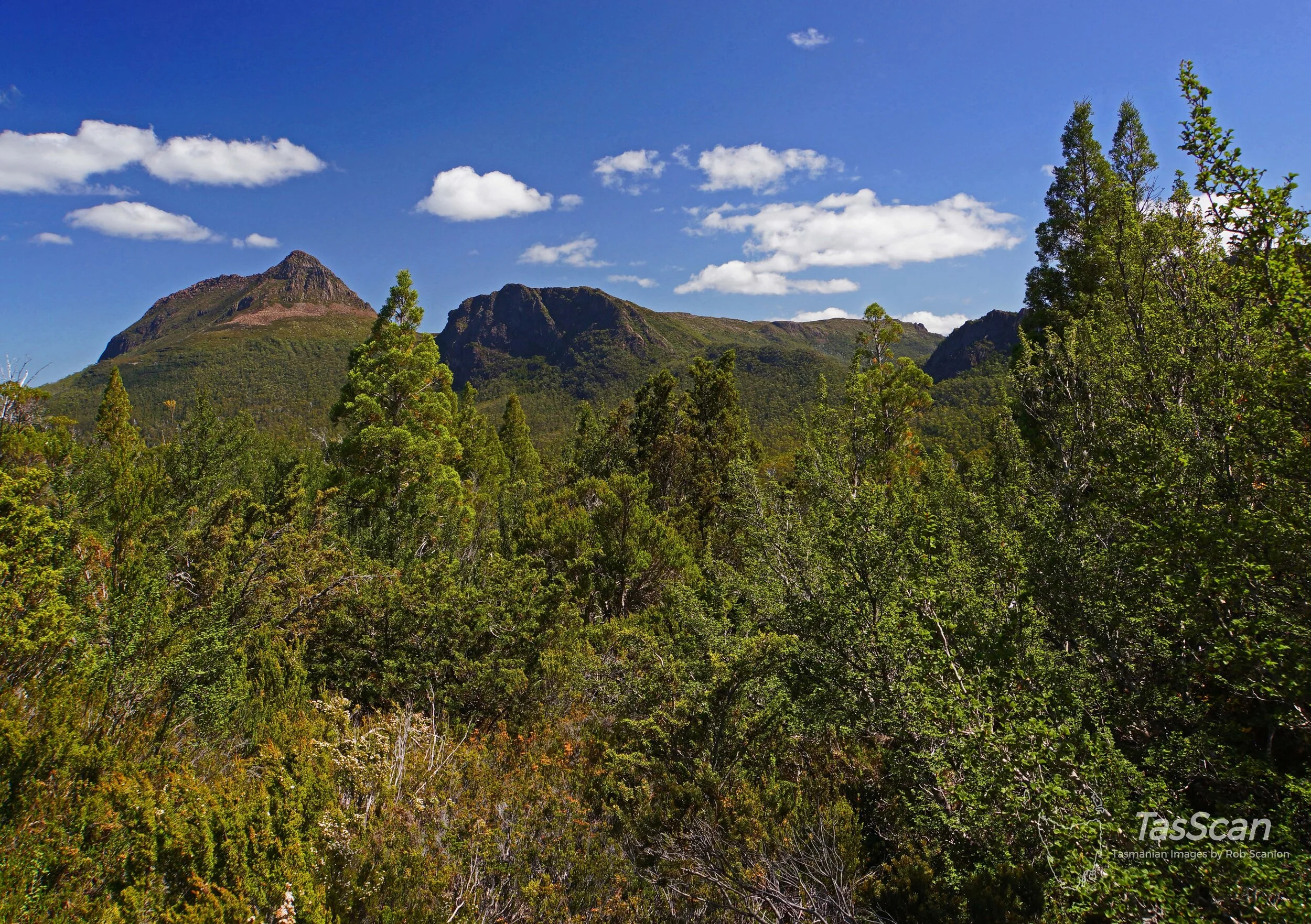 134 - Acropolis Plateau to Mt. Gould