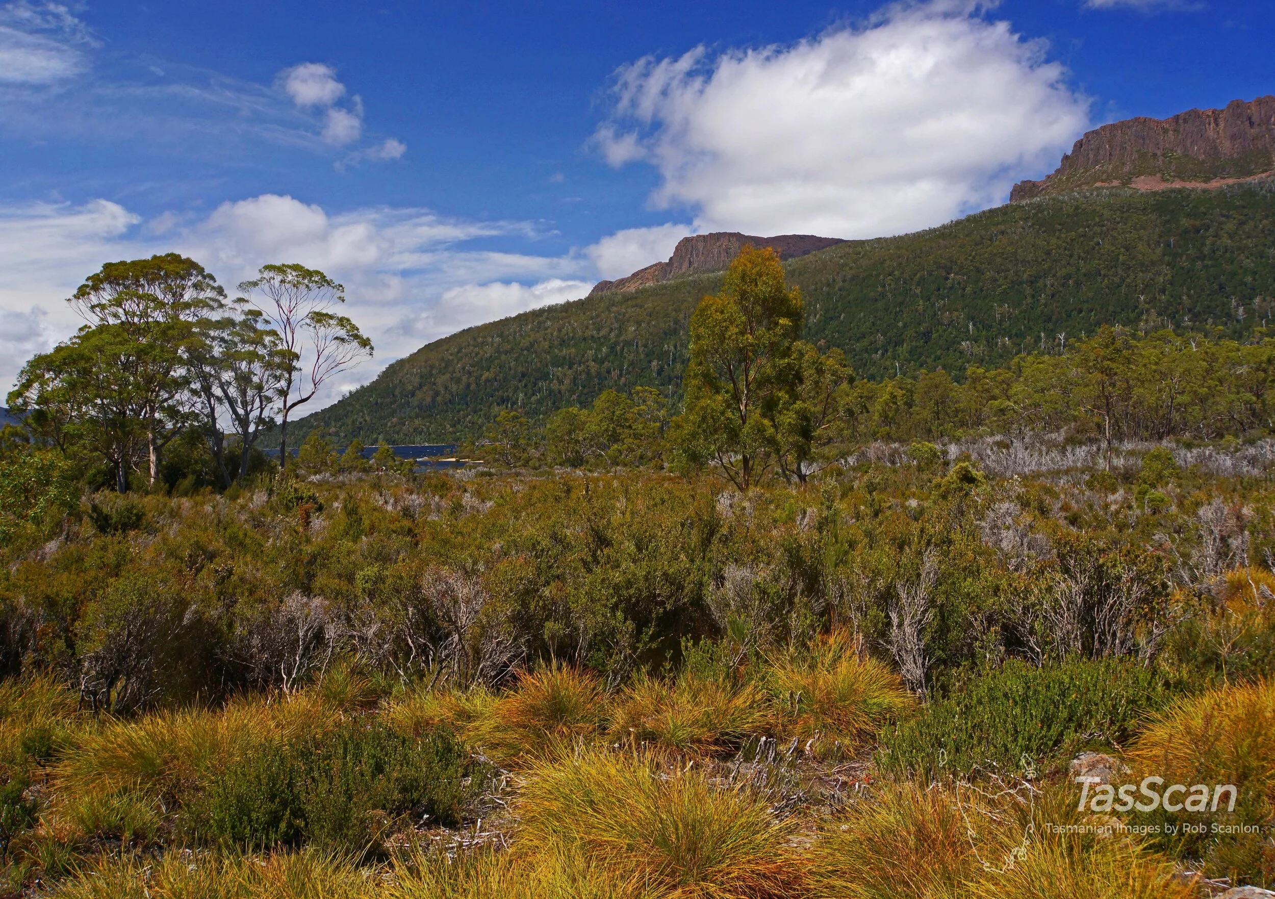 139 - Olympus from Narcissus