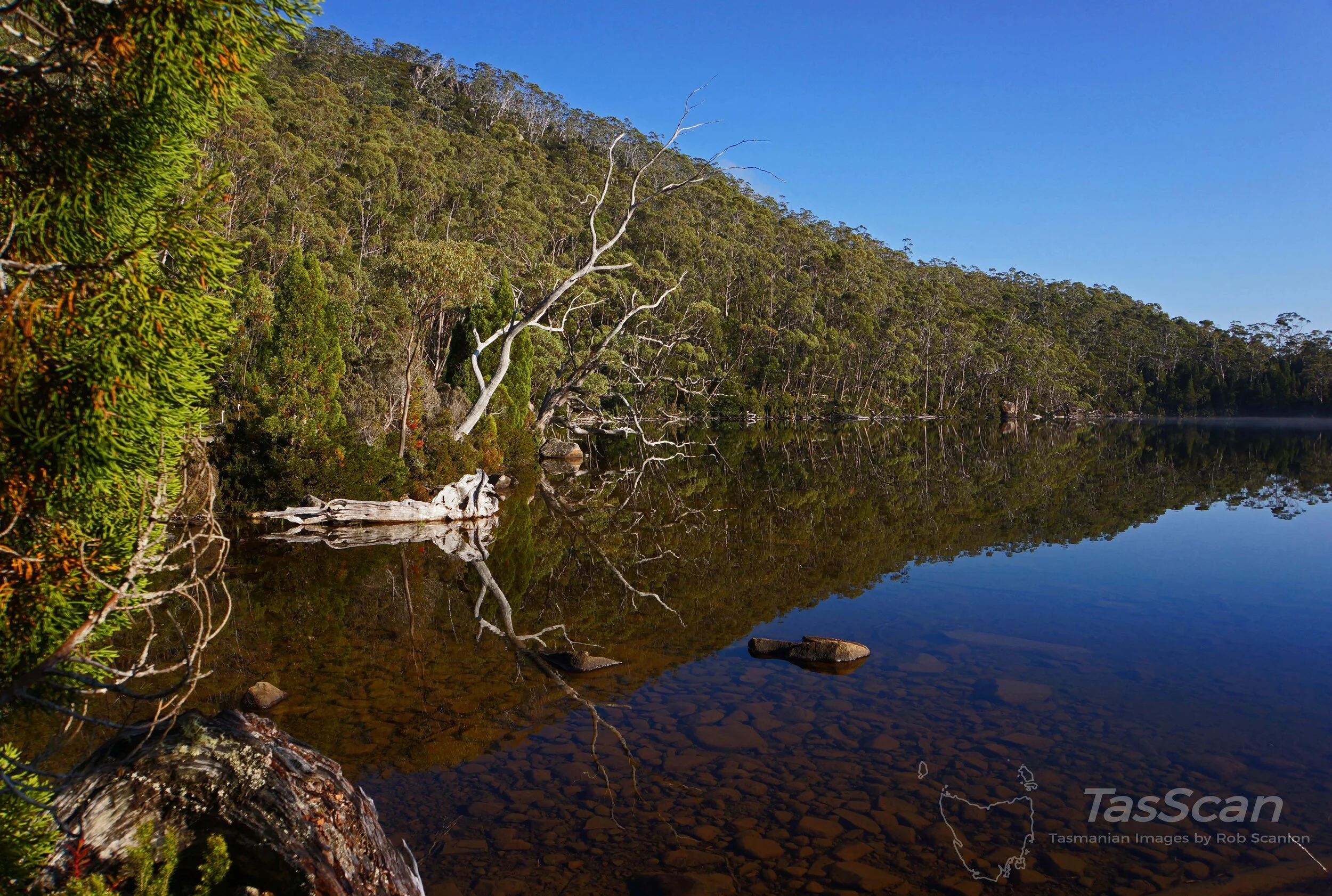 140 - Lake Dobson Mt Field
