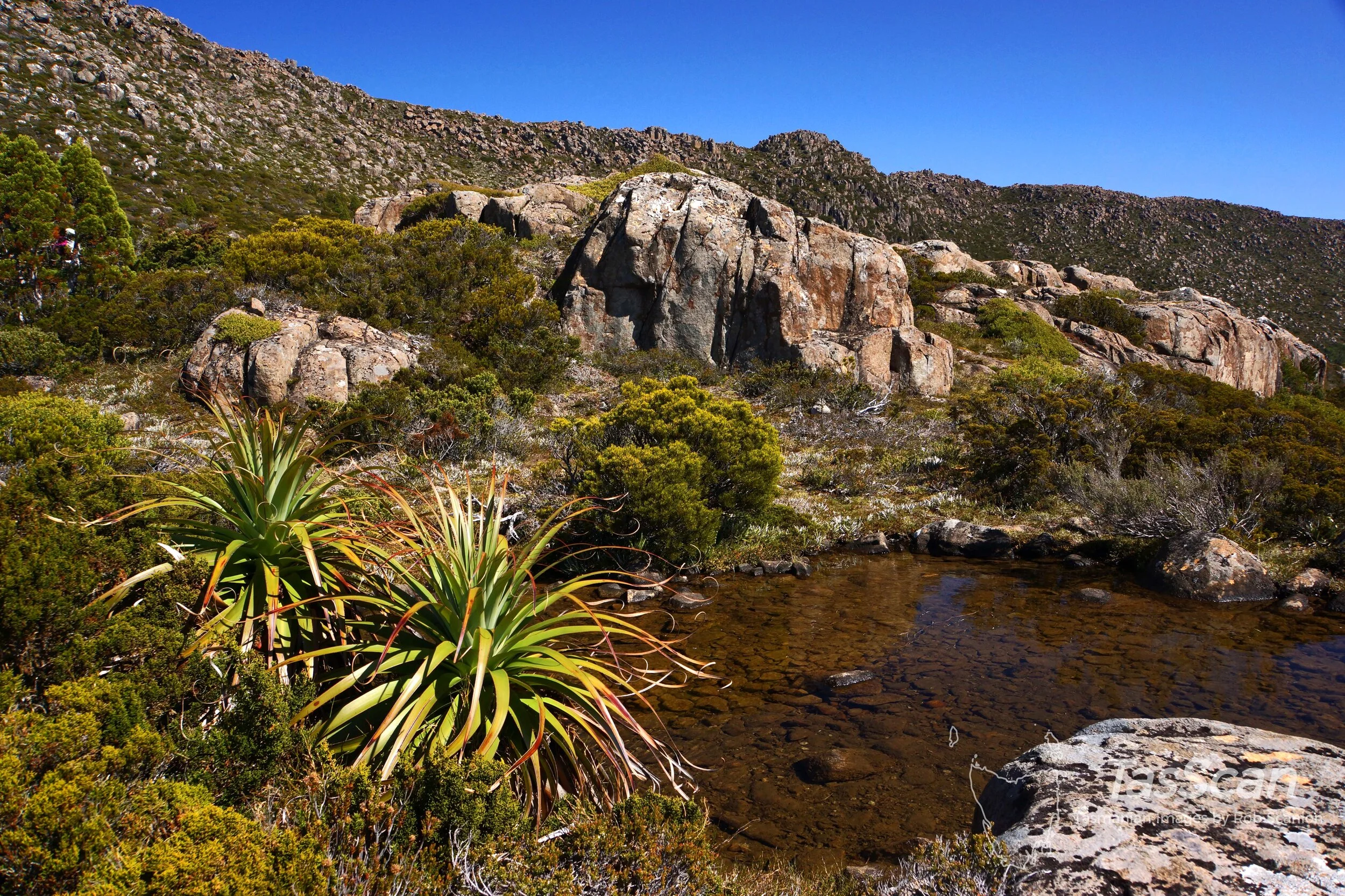 142 - Tarn Shelf 2