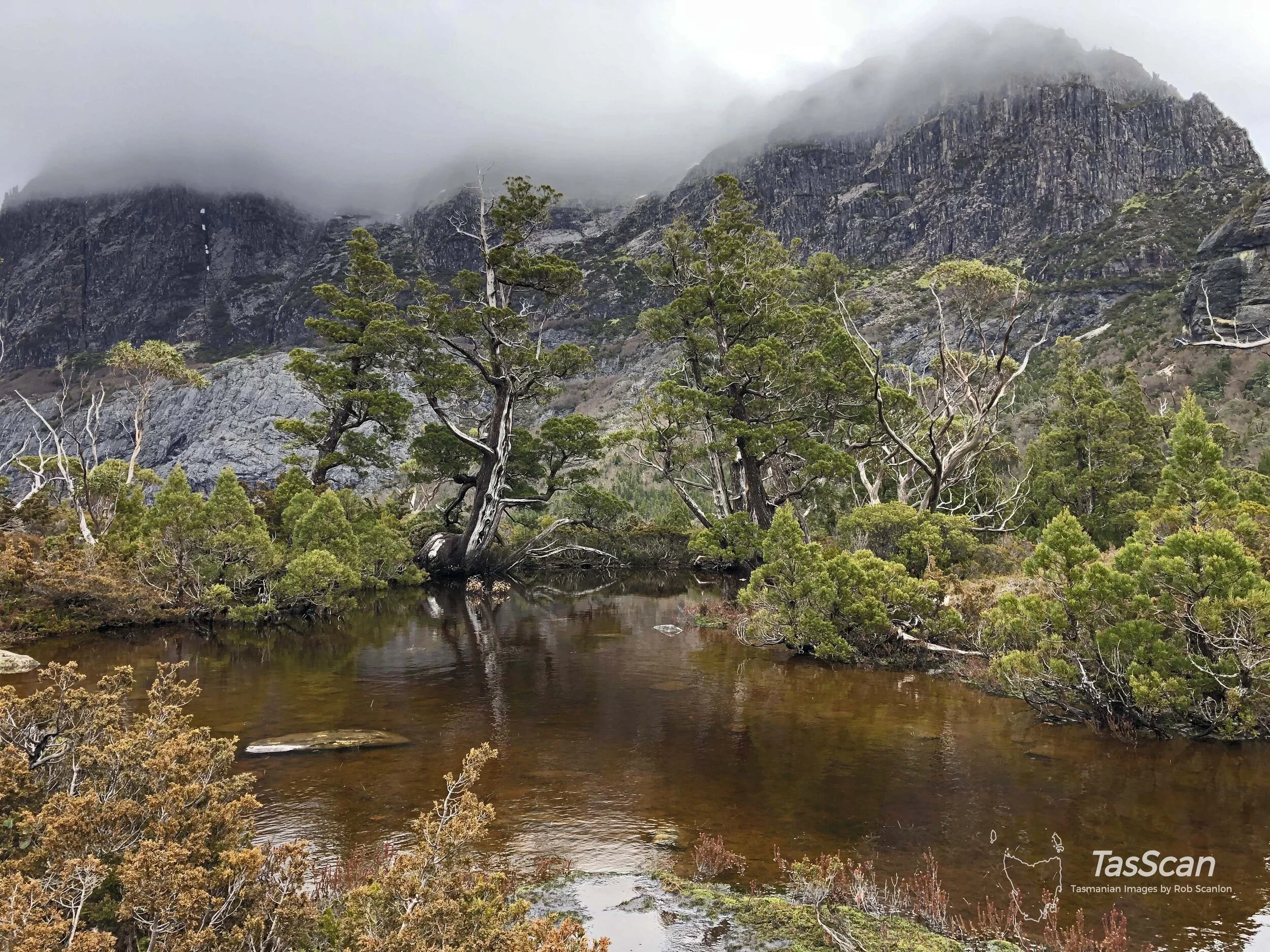 160 - Artist’s Pool