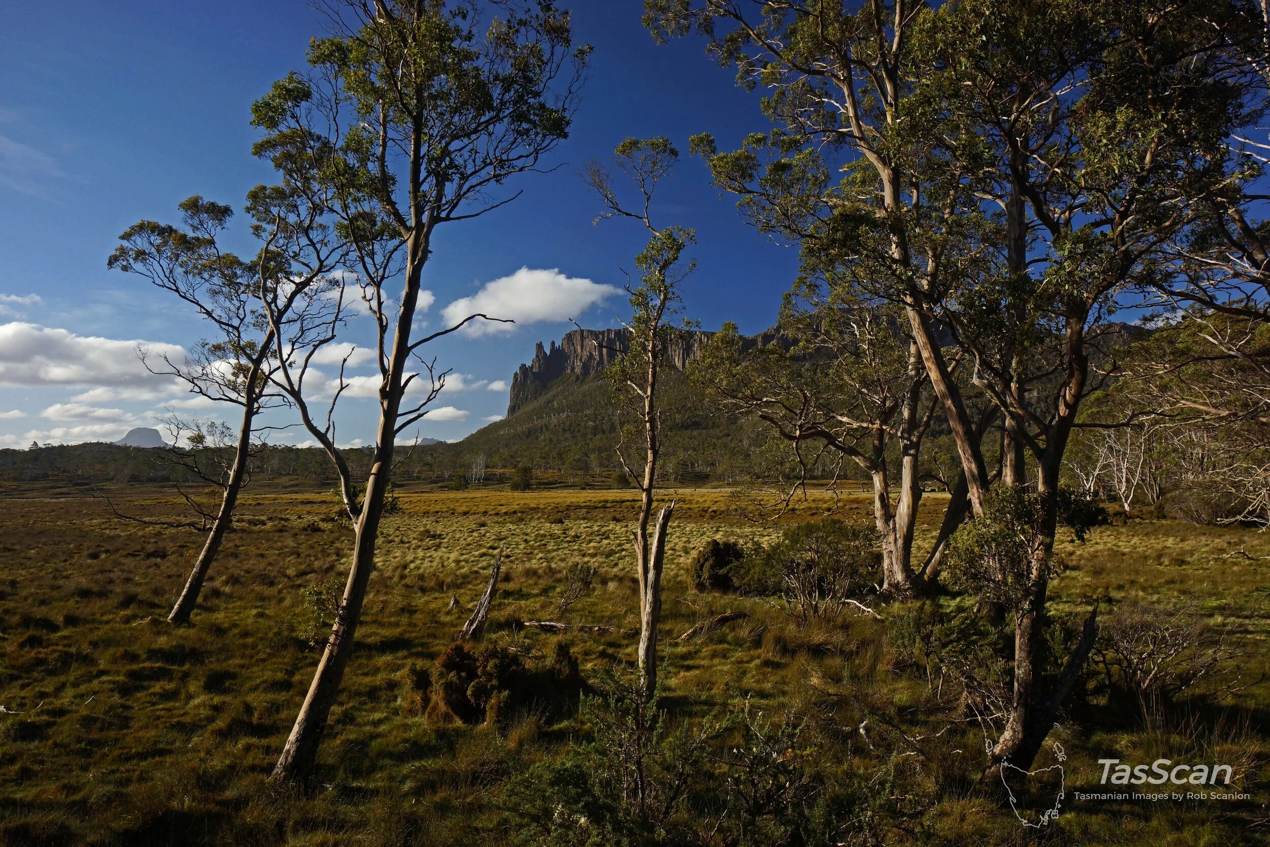 166 - Mt Oakley from Pelion