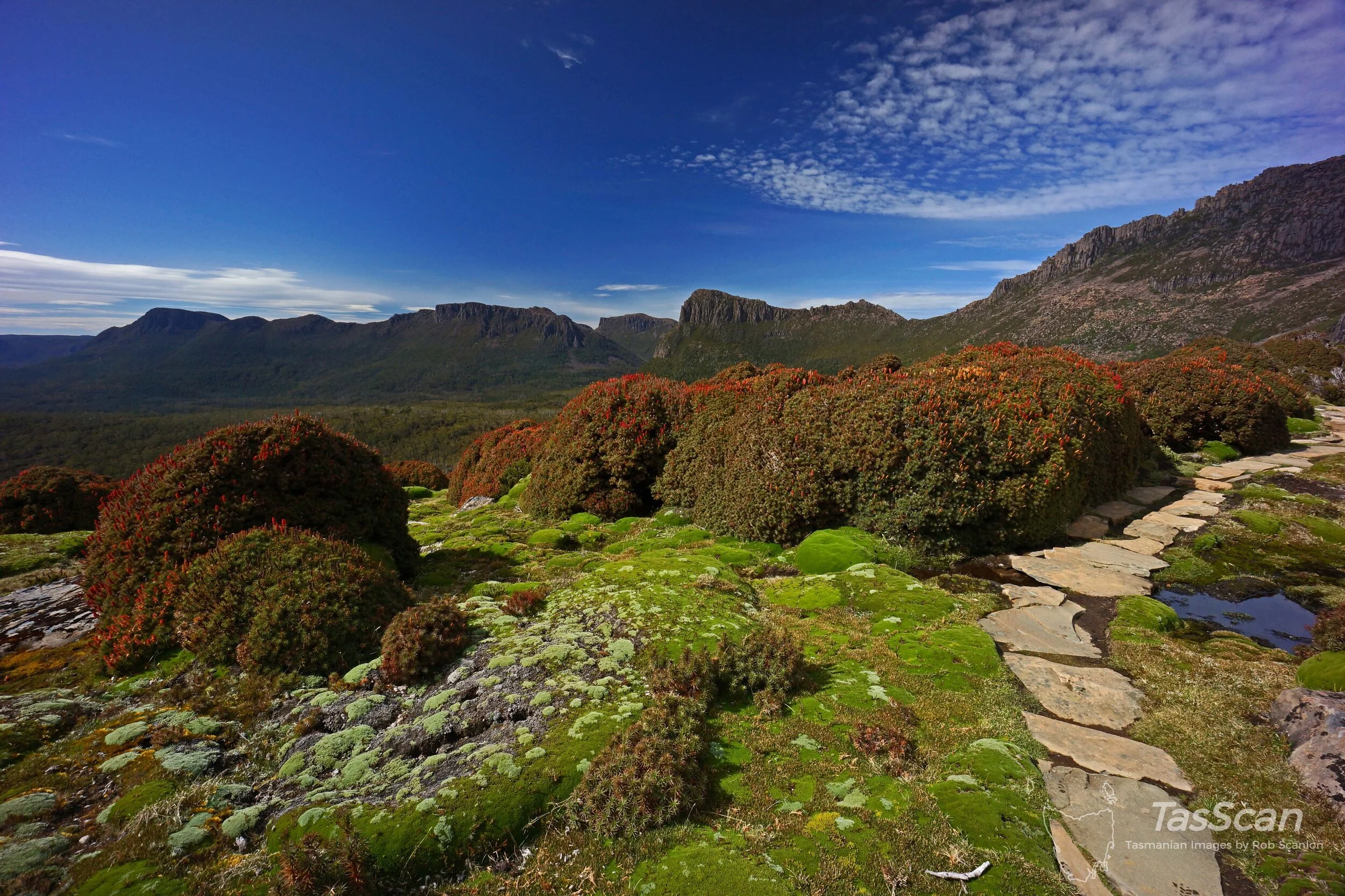 167 -Mt Doris Saddle